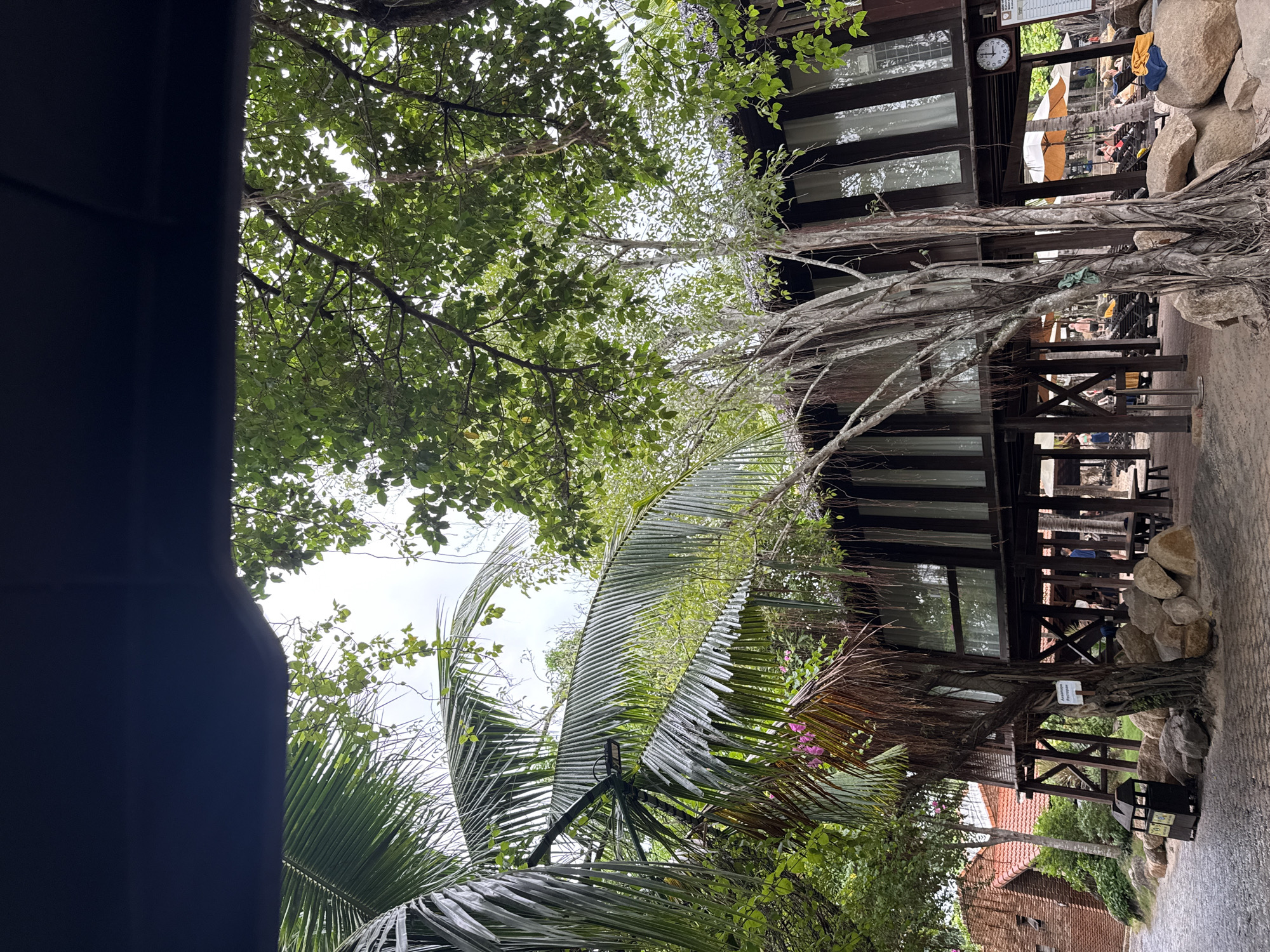 The image depicts a view from beneath the cover of a dark awning, looking out at a lush, tropical environment. The foreground is dominated by the large, fronded leaves of a palm tree on the left and the complex root system of a large tree in the center. Behind the trees, a distinctive wooden stilt house with dark vertical siding and white-curtained windows is visible. The house appears to be raised above the ground, supported by numerous wooden posts. The roof of the house is covered in what looks like thatched material.
To the left of the stilt house, a red-tiled roof of another building is partially visible, along with a section of a brick wall. The ground around the stilt house is a mix of sandy areas and paved pathways. Several large rocks are scattered near the base of the stilt house.
In the background, beyond the stilt house, there are areas with lounge chairs and umbrellas, suggesting a resort or recreational area. Some people are visible in the distance, relaxing in these areas. A round clock with Roman numerals is mounted on the exterior of the stilt house on the right side. There is also a sign with some text and a timetable.
The overall scene suggests a tropical resort setting, likely in a city like Nha Trang, Vietnam, known for its beaches and resorts. The presence of palm trees, the stilt house architecture, and the lounge areas are all consistent with such a location. The sky is overcast, indicating a possibly cloudy or humid day.