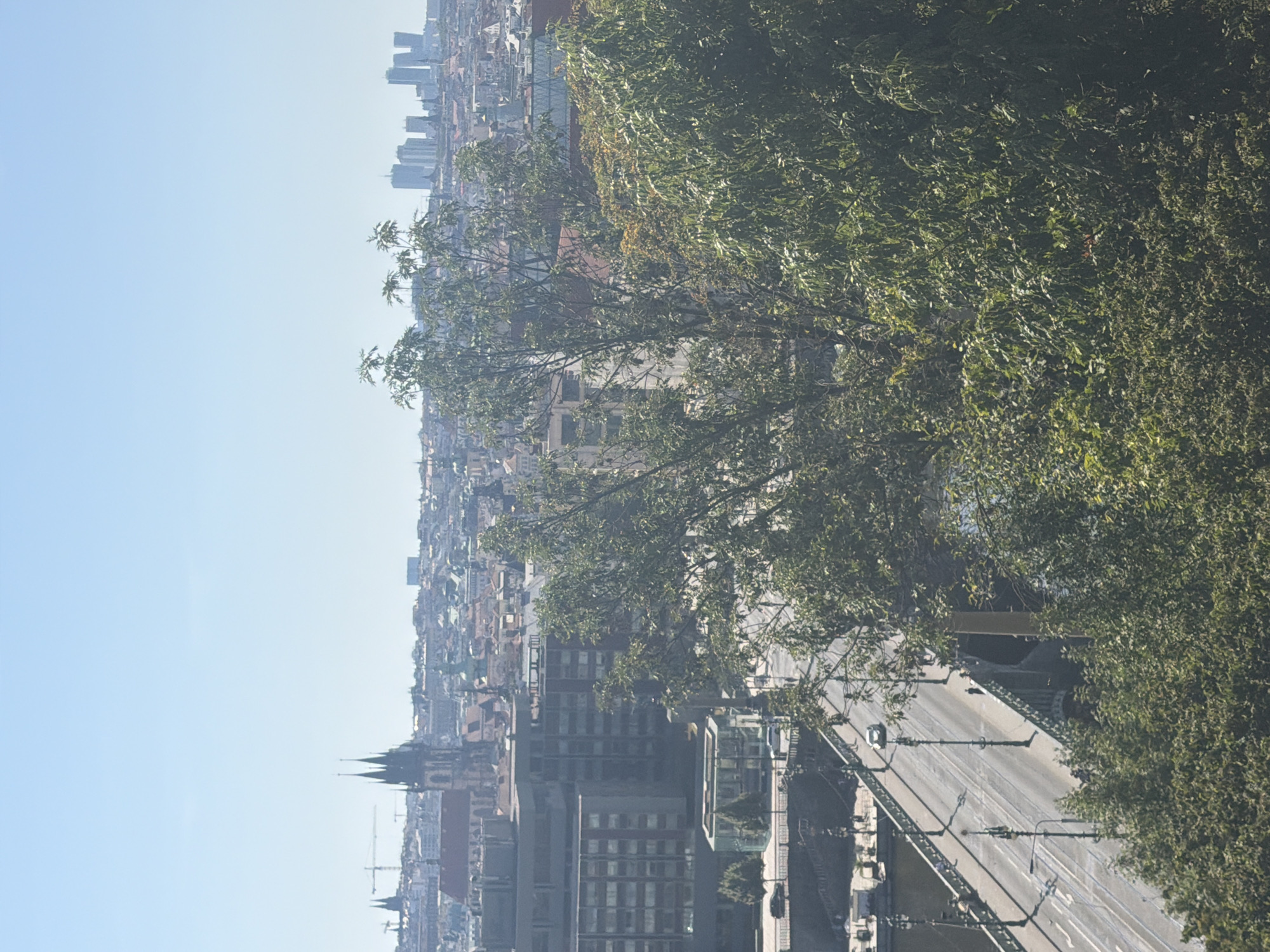 The image captures a panoramic view of Prague, Czechia, on a clear day. In the foreground, a dense canopy of green trees partially obscures the scene. A bridge, likely the Mánes Bridge given its arched structure and location spanning the Vltava River, is visible. Vehicles, including a white car and several tram tracks, are present on the bridge, along with streetlights and a few pedestrians.
Beyond the bridge, a cityscape unfolds with a mix of architectural styles. Prominent church spires, including those of the Church of Our Lady before Týn, rise above lower-rise buildings with red-tiled roofs. In the distance, modern skyscrapers form a stark contrast to the historic architecture. Construction cranes suggest ongoing development within the city. The sky is a clear, bright blue.