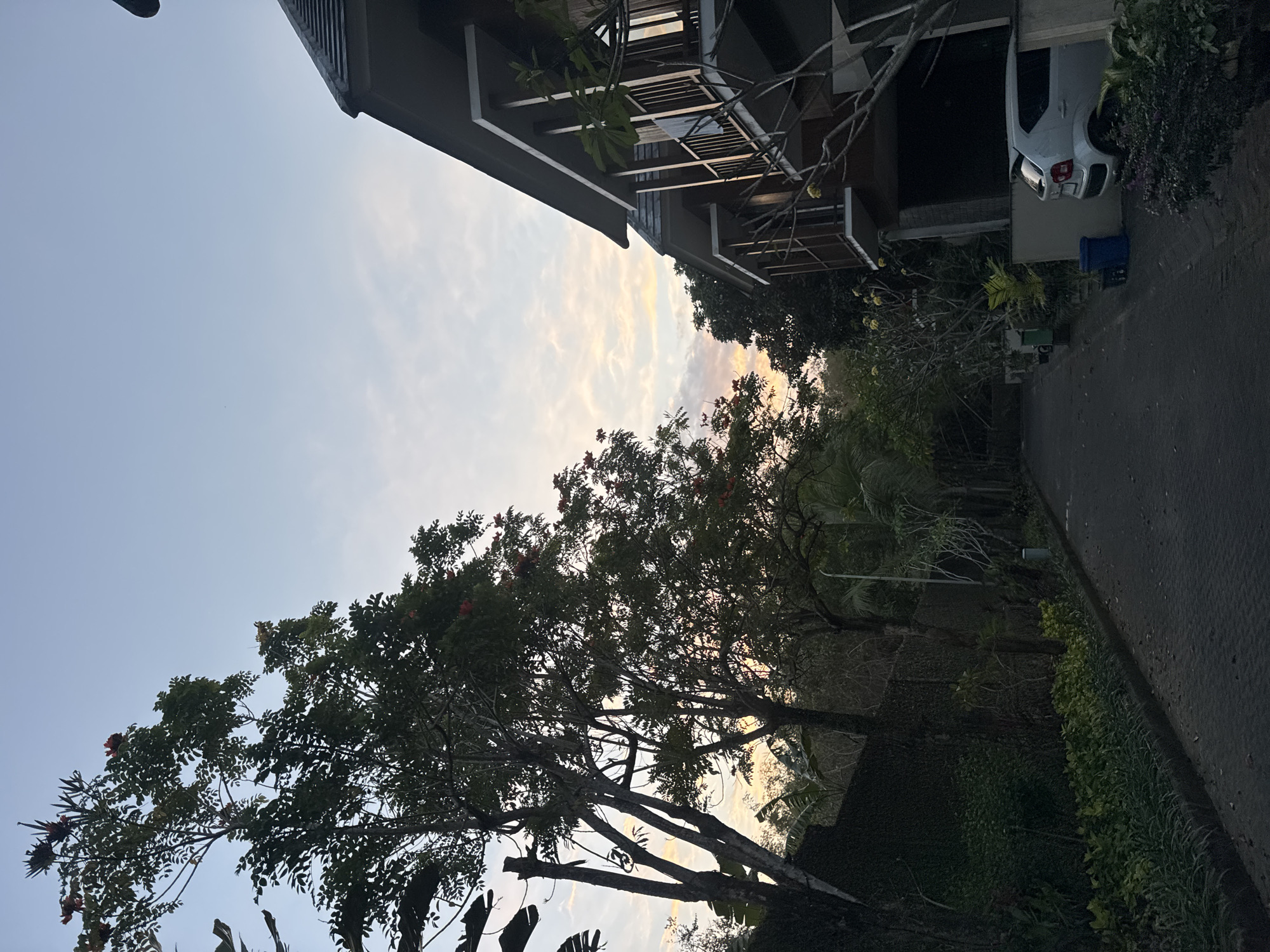 The image depicts a quiet street in Kuta Selatan, Indonesia, at dusk. The sky is a soft gradient of blue and pale orange, indicating the sun has recently set or is about to rise.
On the right side of the street, a modern multi-story building with balconies and dark wooden accents is visible. A small white car is parked in front of the building. A blue trash bin is located next to the car.
The left side of the street is lined with lush greenery, including tall trees with dark green foliage and some red flowers. A dark, vine-covered wall runs along the edge of the property, separating it from the street.
A paved walkway or driveway leads into the scene, bordered by manicured plants and trees. The overall atmosphere is peaceful and serene, suggesting a residential or resort area. There are no people visible in the image.