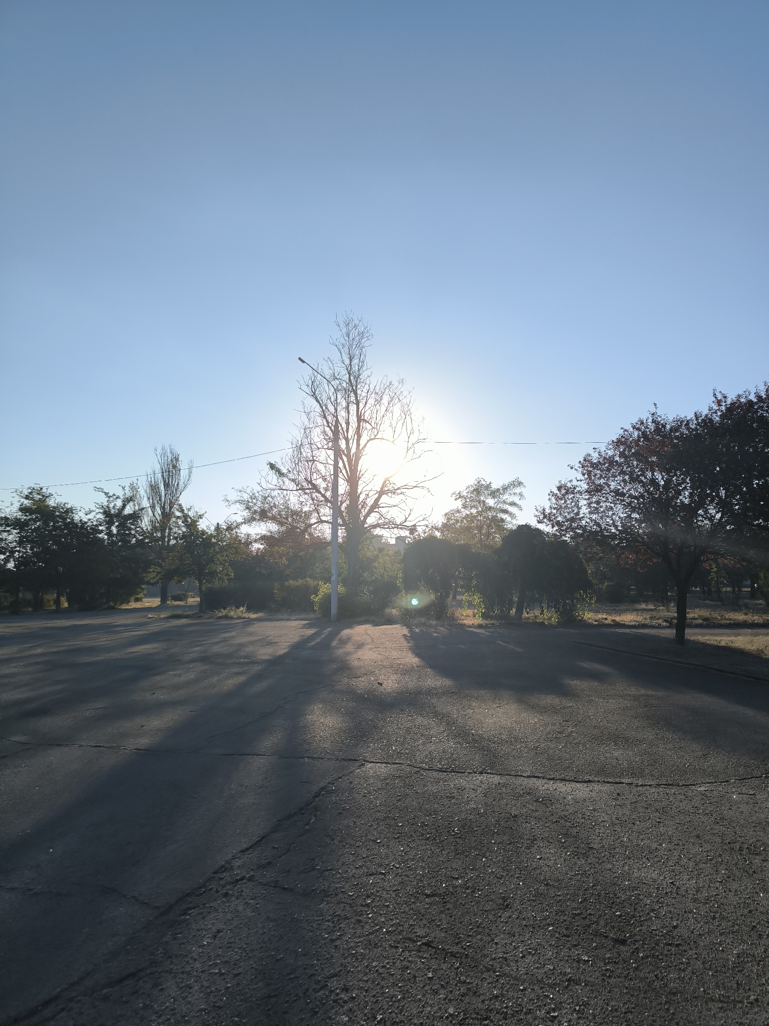 The image depicts an outdoor scene, likely a park or an empty parking lot, on a clear day with the sun shining brightly. The sun is positioned in the center of the frame, partially obscured by a tall, bare tree and a lamppost. Long shadows are cast across the paved ground from the trees and the lamppost, indicating it is likely early morning or late afternoon. The area is lined with various trees, some with green foliage and others bare or with reddish-brown leaves, suggesting a temperate climate during autumn or early spring. The ground appears to be asphalt with visible cracks. The sky is a clear, pale blue. Based on the visual cues, such as the architecture of the lamppost and the type of trees, this scene could be located in the city of Mykolaiv, Ukraine. There are no people visible in the image.