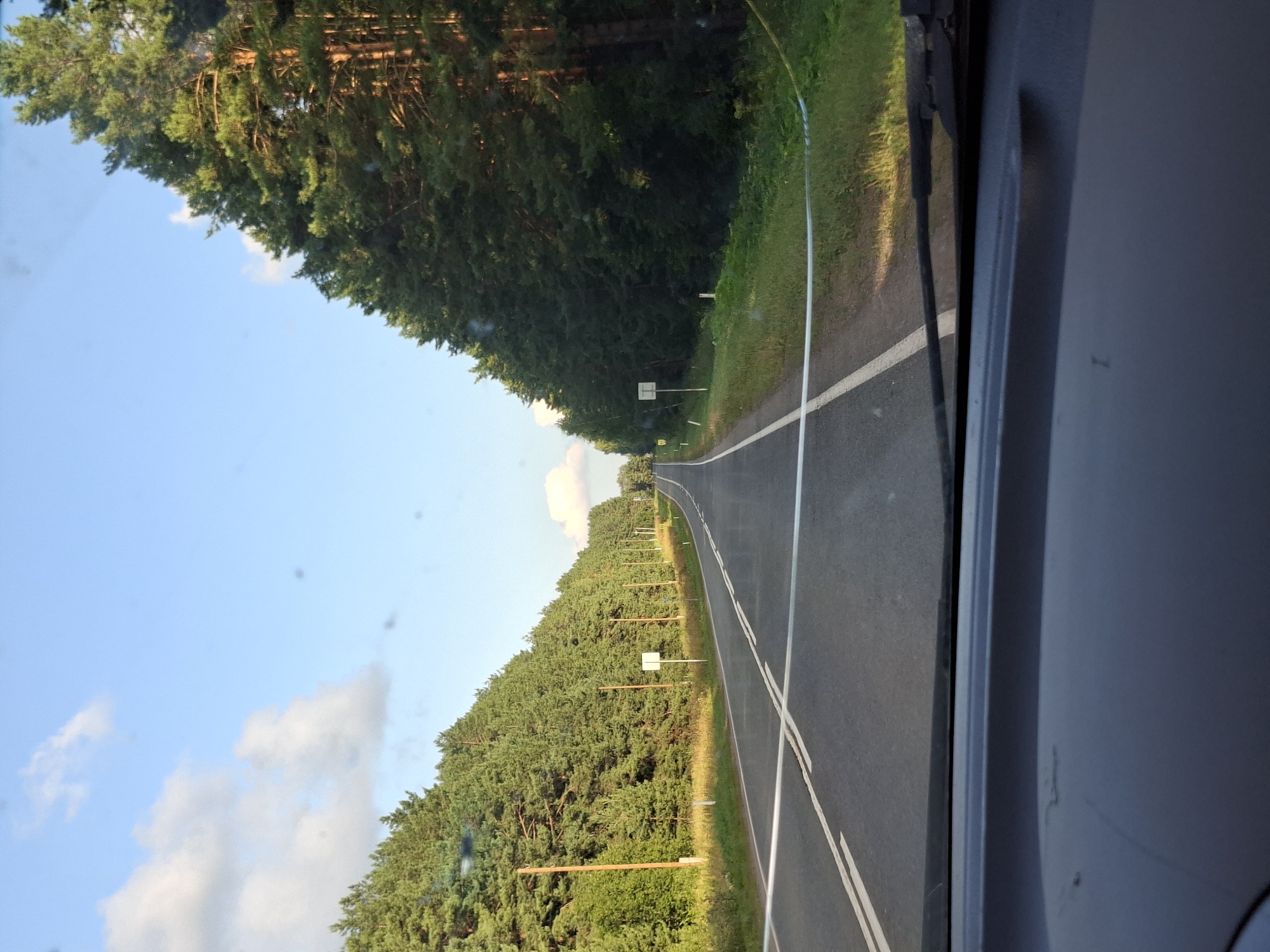 A forward-facing, eye-level, wide-angle shot captures a two-lane asphalt road flanked by dense pine forests under a bright blue sky with scattered white clouds. The road is marked with double white lines and has a shoulder with some grass and foliage. There are several vertical wooden poles with signs along the right side of the road, and some white posts along the left shoulder. A white ribbon or tape is stretched horizontally across the road in the foreground. The lower part of the image shows the interior of a vehicle, including the windshield and dashboard. The scene appears to be on a rural road, possibly in or near Lukintsy, Russia, given the prevalence of pine forests. No people are visible in the image.