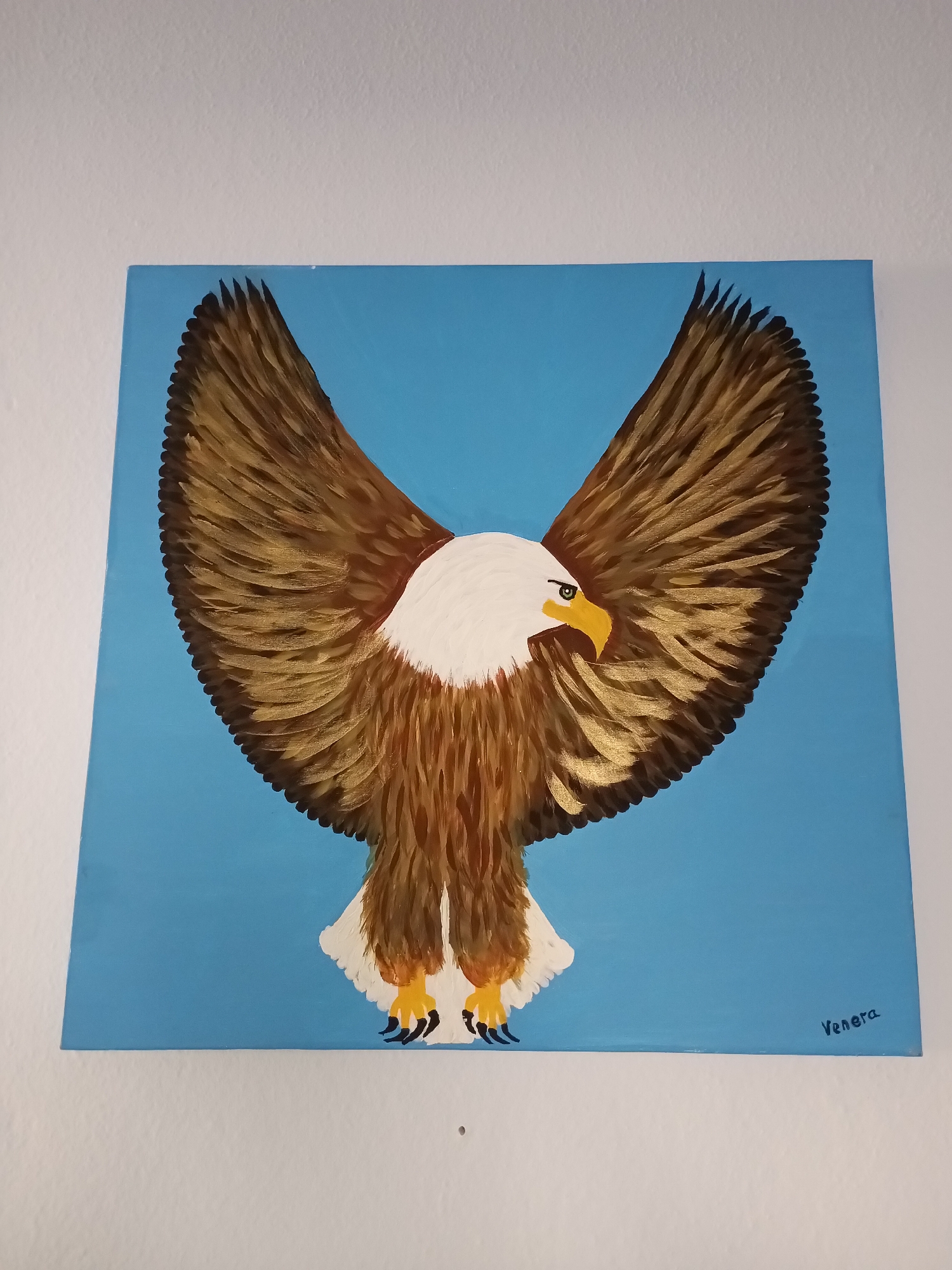 A painting of a bald eagle in flight against a blue background is displayed on a white wall. The eagle's wings are spread wide, showcasing its brown and gold feathers. The bird has a white head and chest, a yellow beak, and yellow talons. The painting is signed "Venera" in the bottom right corner. The white wall appears to be an interior wall, possibly in a home or gallery. The location is Alanya, Turkey.