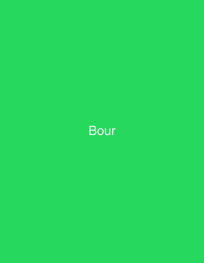 The image displays a solid, uniform background of a vibrant green color. Centered within this green field is the word "Bour," rendered in white, sans-serif typography. No people, objects, actions, interactions, or discernible environmental features are present beyond the colored background and the text. There are no visual cues within the image to indicate any specific physical location, including the city of Casablanca, Morocco.