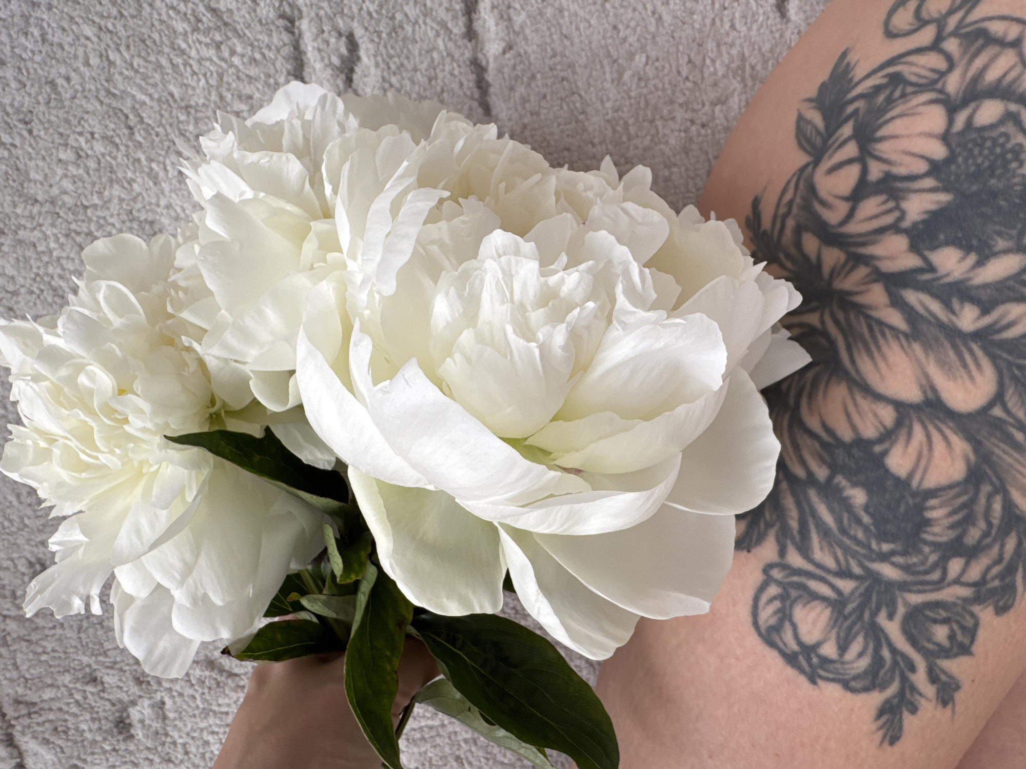 A hand holds a bouquet of white peonies against a background of a gray, textured surface. The arm of the individual holding the flowers is visible, featuring a dark tattoo depicting a floral design. The image does not provide information that would suggest a link to Sochi, Russia.