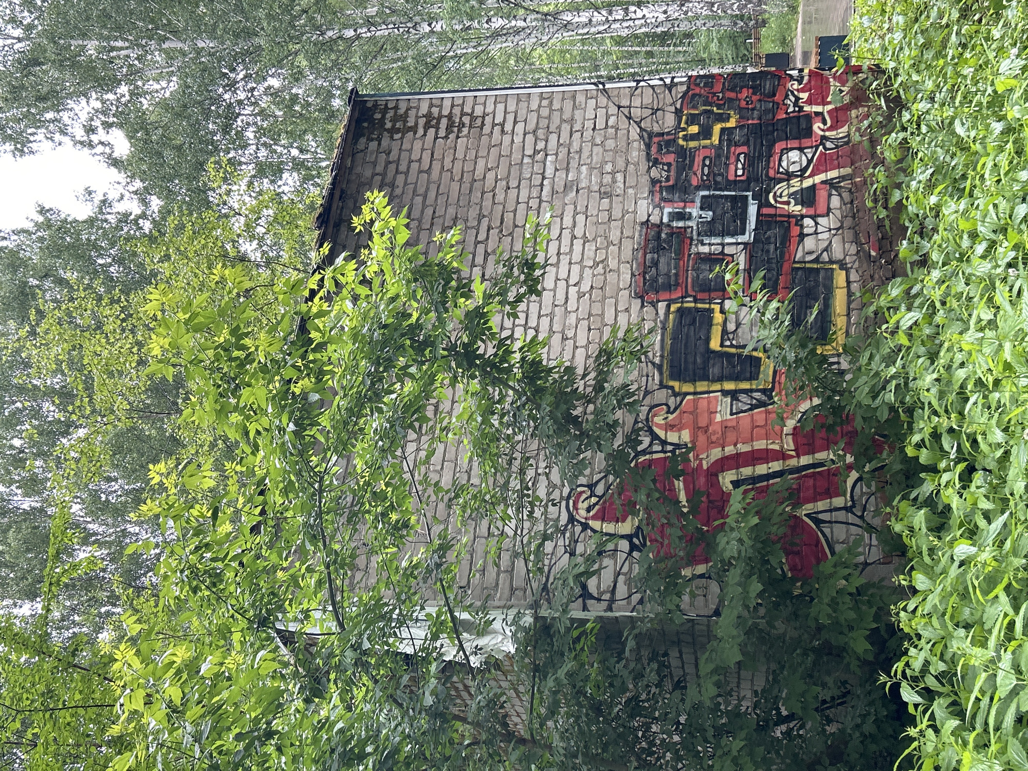 The image captures the side of a brick building partially obscured by dense, vibrant green foliage, set in Chaikovsky, Russia. The building's light-colored brick wall is adorned with an intricate, multi-colored graffiti mural. The graffiti features a complex design with prominent shades of red, black, yellow, and white, composed of abstract, blocky shapes and stylized patterns that resemble a large tag or street art piece.
The surrounding environment is characterized by abundant greenery, including tall deciduous trees with light-green leaves and dense undergrowth that extends close to the building. The sky is visible through gaps in the tree canopy, appearing bright, which suggests it is daytime. Some moss or discoloration is visible on the roofline. No people or specific activities are depicted, emphasizing the blend of urban artistry with nature. No clearly legible text is visible within the graffiti, which is more abstract in form.