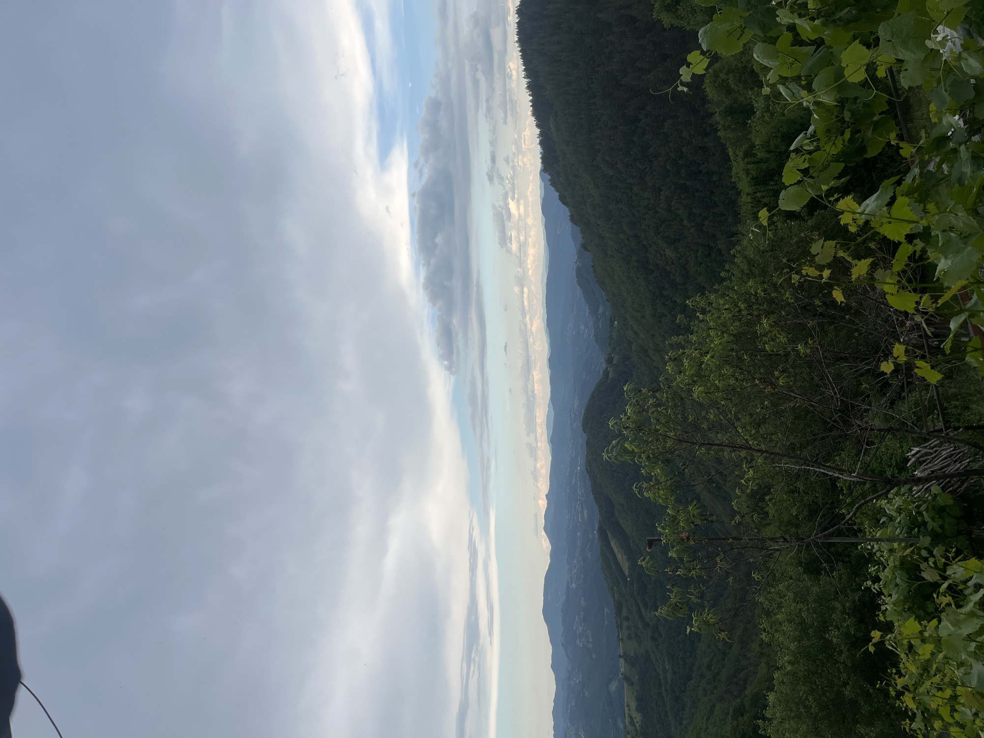 A wide-angle, eye-level shot captures a vast landscape of rolling, tree-covered hills under a cloudy sky. The foreground features lush green foliage, including vines with bright green leaves, and the branches of a small tree. In the middle ground, a dense forest blankets the hills. In the distance, successive layers of hills fade into a hazy blue, suggesting a significant depth to the landscape. The sky is filled with scattered clouds, with patches of lighter blue visible in the distance. The overall scene is one of natural beauty and serenity. This view is from the vicinity of Startsevo, Bulgaria.