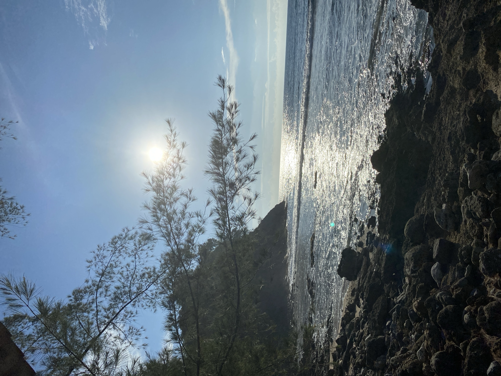 The image depicts a rocky shoreline on a sunny day. The foreground is dominated by dark, uneven rocks. Beyond the rocks, the ocean stretches out, with gentle waves lapping at the shore. The water reflects the bright sunlight, creating a shimmering effect. In the background, a lush green hillside rises from the water. The sky is a clear blue with a few wispy clouds. A tree branch with needle-like leaves hangs into the frame from the top left, partially obscuring the view of the sun. The scene is serene and natural, evoking a sense of peace and tranquility. The location is the city of Monikeun, Indonesia.