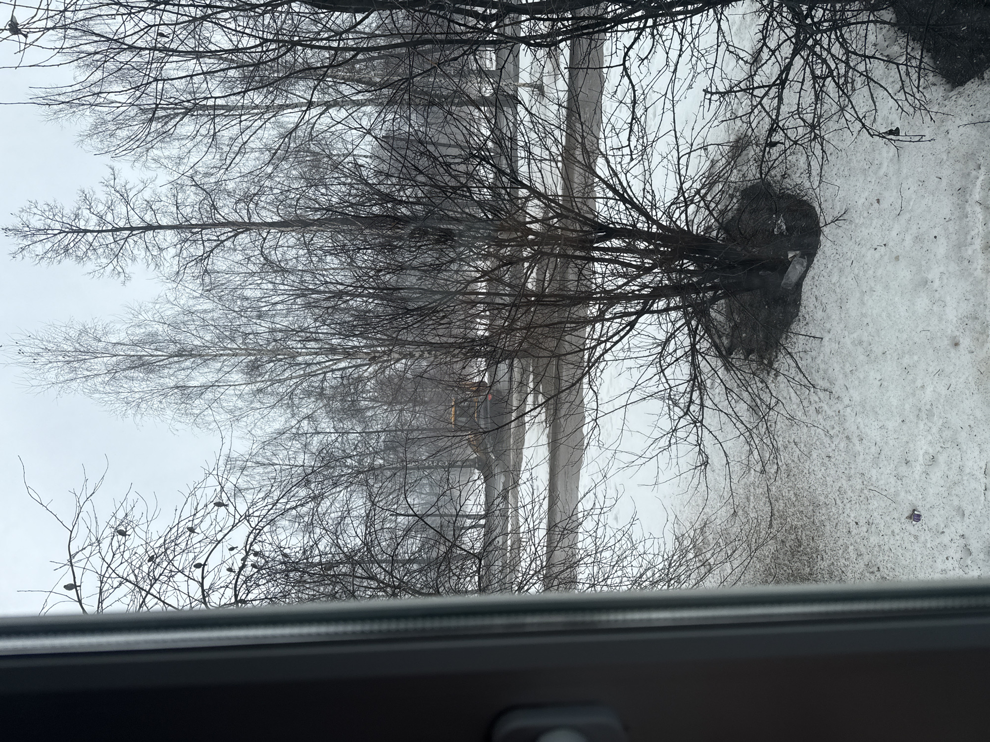 The image, taken from inside an unknown building, depicts a winter scene in Chaikovsky, Russia. Bare trees dominate the foreground and middle ground, obscuring a view of a street. Snow covers the ground, with visible dirt and debris interspersed. Utility poles and wires are visible through the branches. The sky is overcast, creating a diffused light.