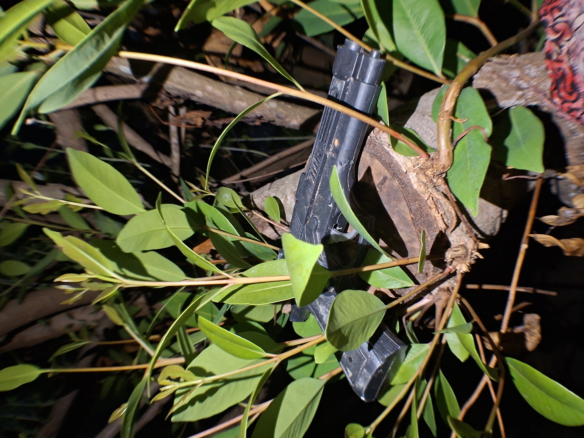A black handgun is nestled among the branches and leaves of a shrub. The gun is situated on top of a piece of wood or tree bark. The surrounding foliage is green and plentiful, partially obscuring the handgun. The lighting is dim, suggesting either nighttime or a heavily shaded area. The location is unspecified in Lhokseumawe, Indonesia.