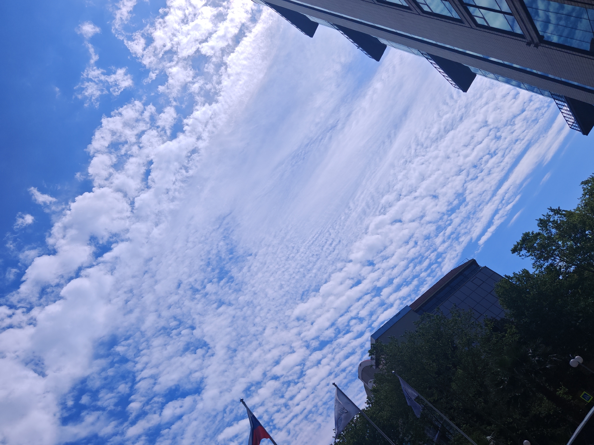The image captures a vibrant blue sky filled with diverse white clouds, viewed from a low-angle perspective looking upwards towards buildings and trees. The sky dominates the upper left, transitioning into a dense formation of streaky, elongated white clouds that extend diagonally across the frame from the upper right towards the lower left. These clouds appear to be arranged in parallel lines, creating a textured pattern against the blue. In the upper left and lower left, there are also more scattered, fluffy cumulus-like clouds.
To the upper right, a large, modern building with dark, reflective glass windows and angular architecture juts into the frame. Its facade reflects the bright sky. In the lower right, another building, also appearing modern and dark, is partially obscured by lush green trees. The foliage of these trees fills the bottom right corner of the image.
Two flags on poles are visible in the lower center and right. One flag clearly displays sections of red and blue, hinting at a national or institutional emblem, but specific details are not discernible. The other flag is mostly white or light-colored and seems to have a faint design or logo, which is not legible.
The scene depicts a bright, clear daytime, likely mid-day, indicated by the strong sunlight and blue sky, with the sun's glare visible behind some clouds in the upper left. The weather appears pleasant with dynamic cloud formations. The perspective, looking up, creates a sense of the grandeur of both the sky and the surrounding architecture. No identifiable text is visible.