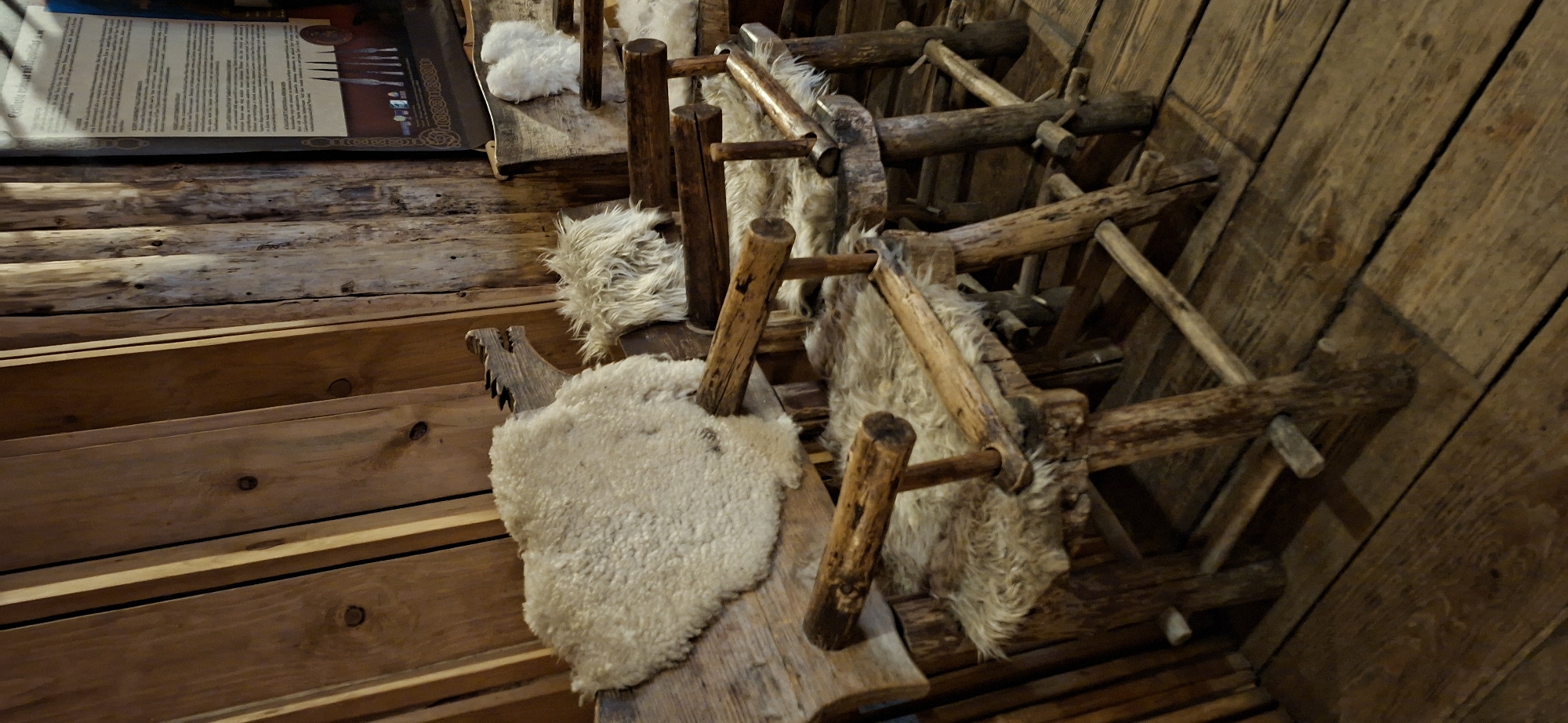 The image shows a rustic interior, likely in Saula, Estonia, featuring several wooden chairs adorned with sheepskin throws. The chairs are crudely constructed from rough-hewn logs and branches, with wooden pegs and bindings visible. One chair in the foreground has a prominent wooden carving resembling a wolf or dragon head on its backrest, draped with a thick, cream-colored sheepskin. Another chair next to it also has a sheepskin covering. In the background, more wooden chairs are visible, along with a large display board with text and images, possibly an exhibit. The walls are paneled with vertical wooden planks, and the floor is made of aged wooden boards. The lighting is dim, suggesting an indoor setting with natural or low artificial light. There are no people present in the image. The overall impression is one of a historical or themed exhibit, emphasizing a rugged, possibly Viking or medieval, aesthetic.
