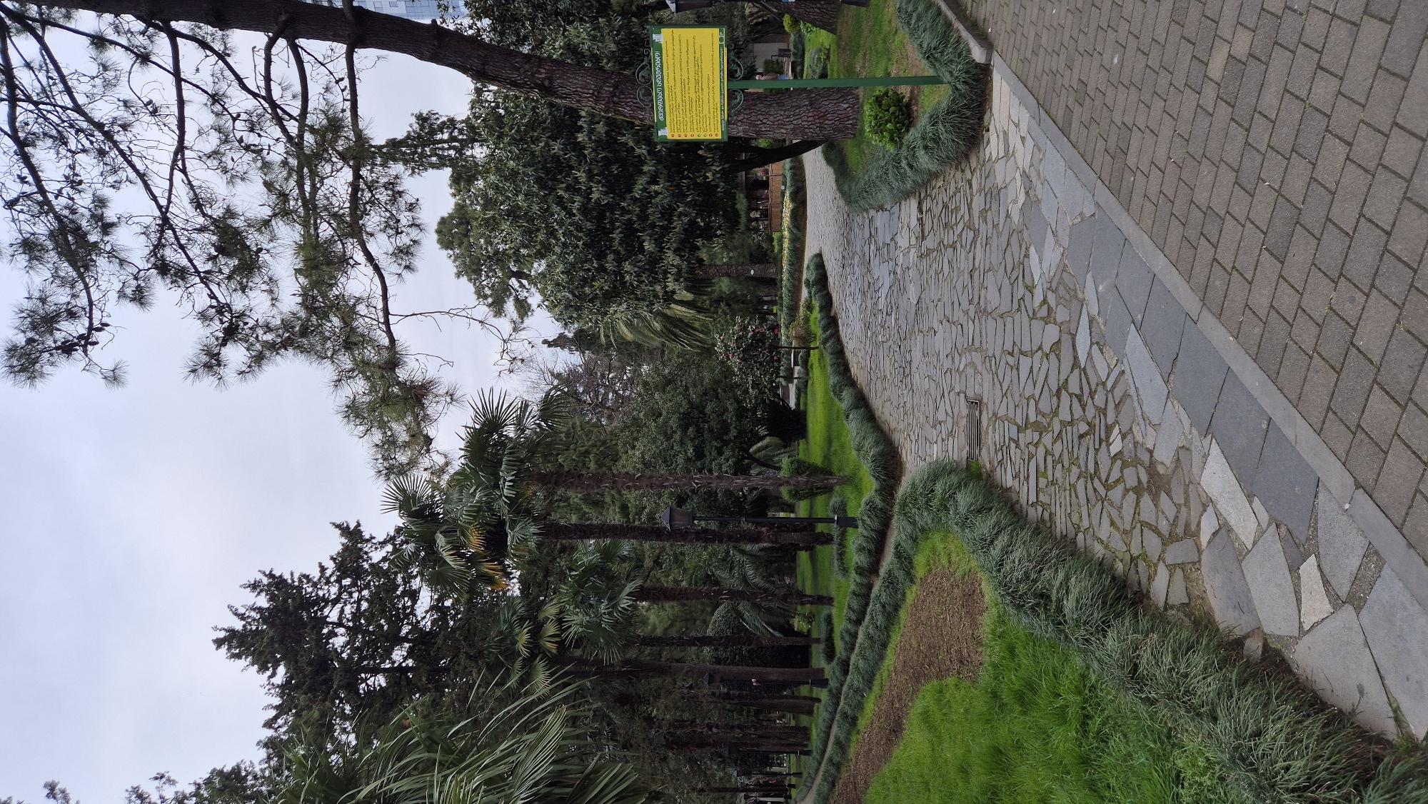 The image shows a pathway in a park in Batumi, Georgia. The pathway is paved with a combination of rectangular bricks and irregularly shaped stone slabs. Lush green grass and neatly trimmed shrubs line both sides of the pathway. Palm trees and other varieties of trees provide shade and greenery. A yellow sign with text in Georgian is mounted on a pole beside the path. The sky is overcast. The image does not include any people.