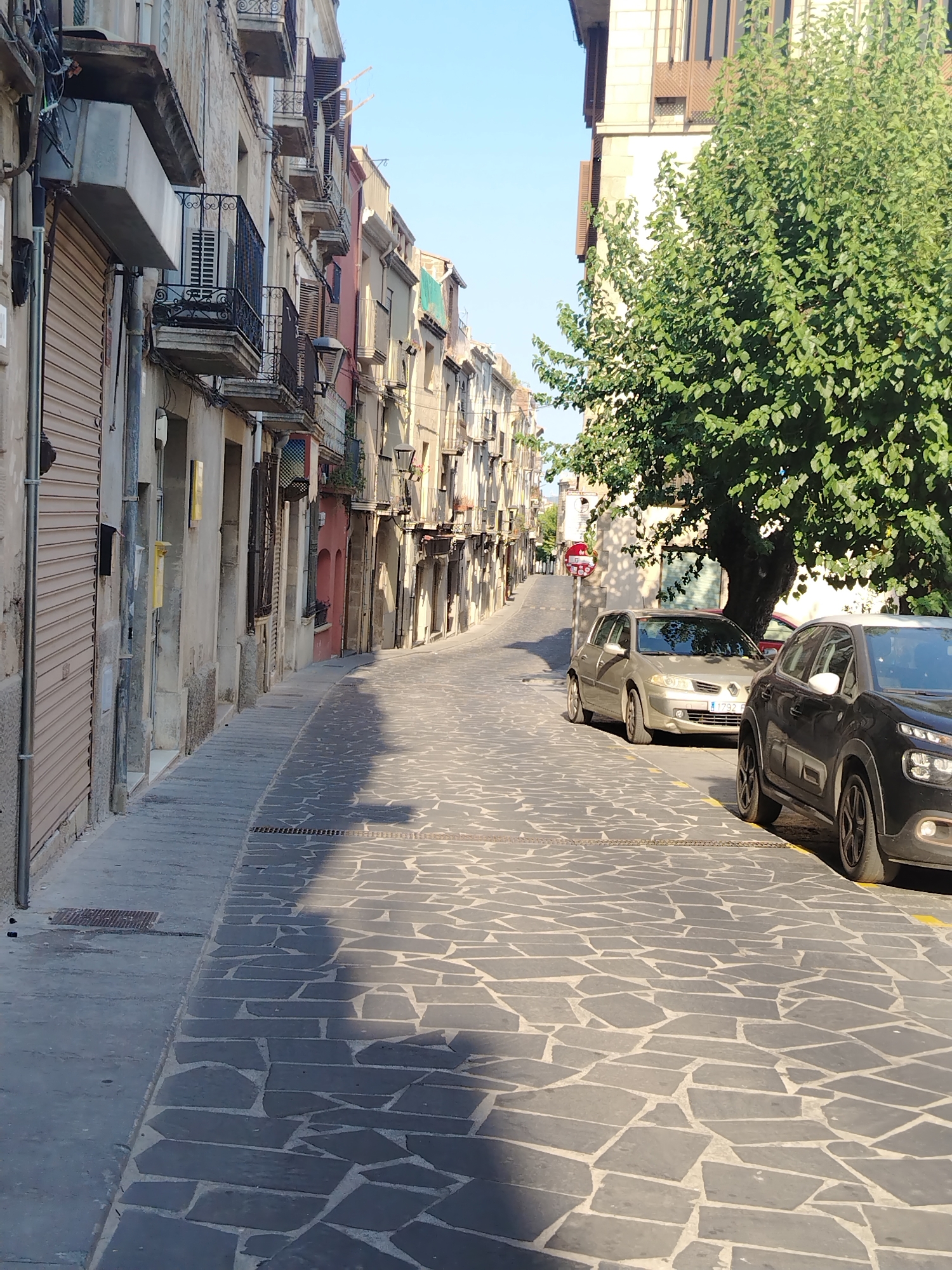 The image shows a street in the town of Hostalric, Spain, with buildings lining both sides. The street is paved with irregular stone slabs. On the left side of the street are shops with closed metal shutters. On the right side, a large tree with green foliage is visible, casting a shadow on the street. Two cars are parked on the right side of the street: a silver Renault sedan and a black Citroën SUV. The sky is clear and blue, indicating good weather. The overall scene depicts a quiet urban environment.