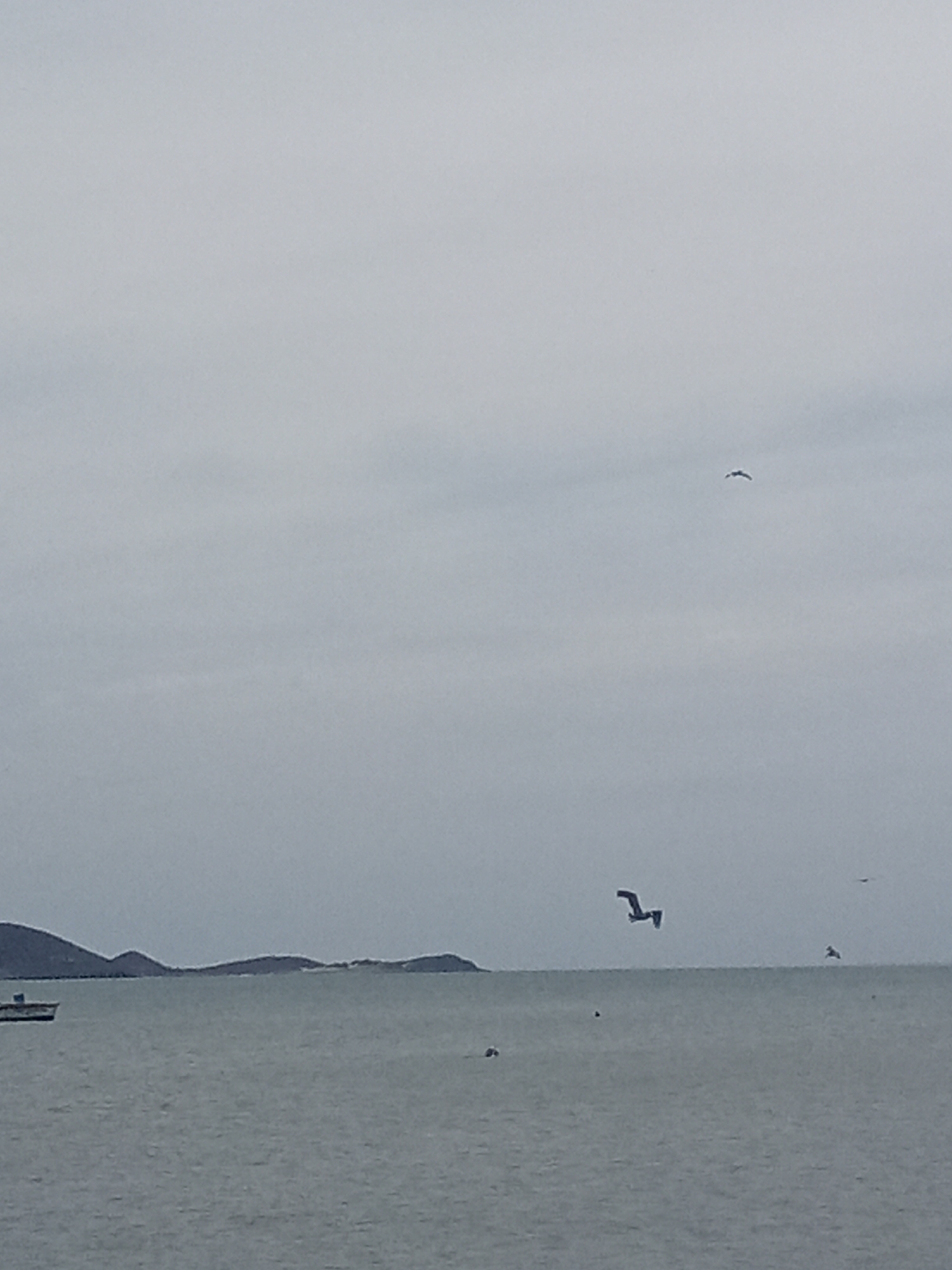 This image captures a seascape under an overcast sky in Juan Griego, Venezuela. The scene features calm, gray water, with a few small, hilly islands silhouetted on the horizon. Several seabirds are scattered across the sky and near the water’s surface. A small boat is visible near the left edge of the frame. The general impression is one of quiet tranquility on a gray day by the sea.