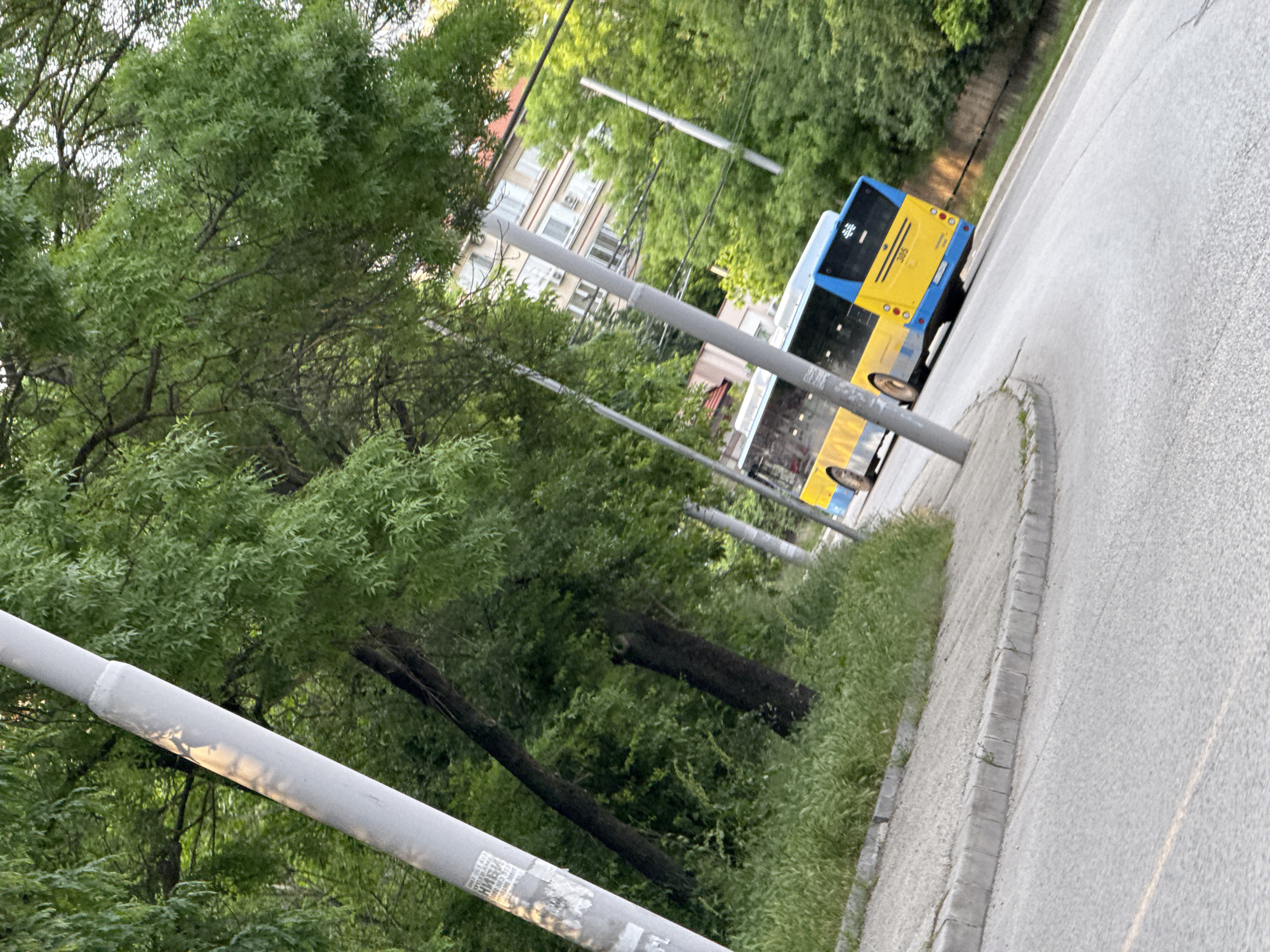 The image shows a blue and yellow bus traveling on a paved road in Pleven, Bulgaria. The bus is partially obscured by trees and utility poles that line the roadside. Tall grass and a curb run along the edge of the road. In the background, a building with multiple windows is visible among the trees. The scene appears to be in a residential or suburban area.