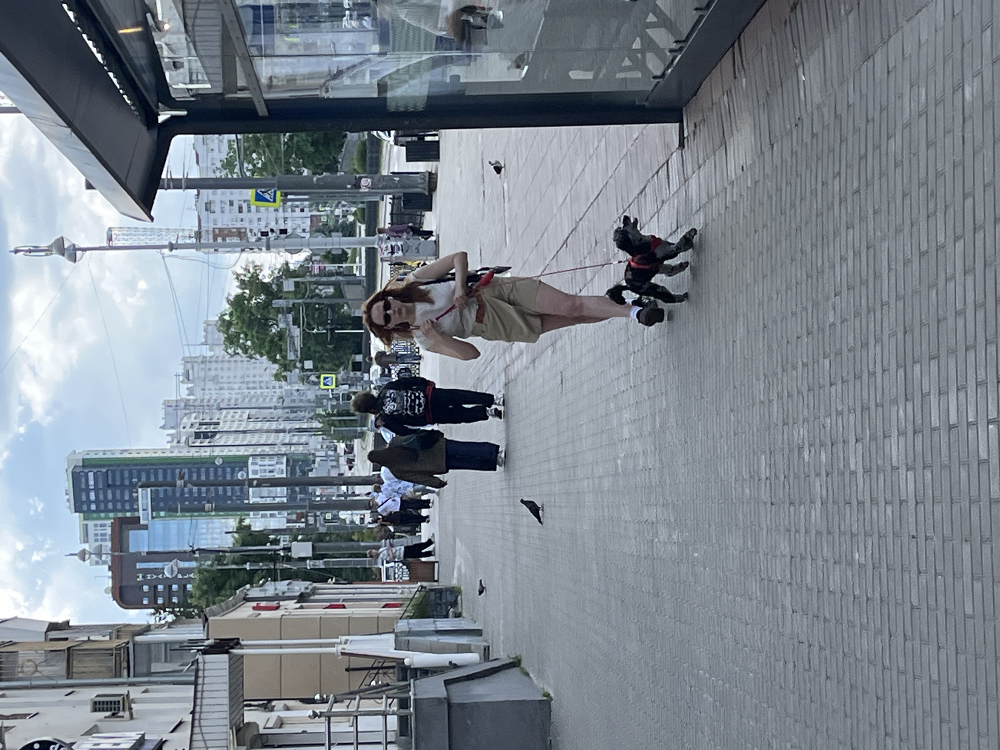 A woman with reddish-brown hair and sunglasses walks a small black poodle mix on a leash along a paved sidewalk. She is wearing a light-colored sleeveless top, a tan skirt, and dark shoes. The dog is wearing a red harness. They are walking past a bus stop with a glass enclosure. In the background, several people are walking on the sidewalk, and there are tall buildings and trees. The sky is partly cloudy.