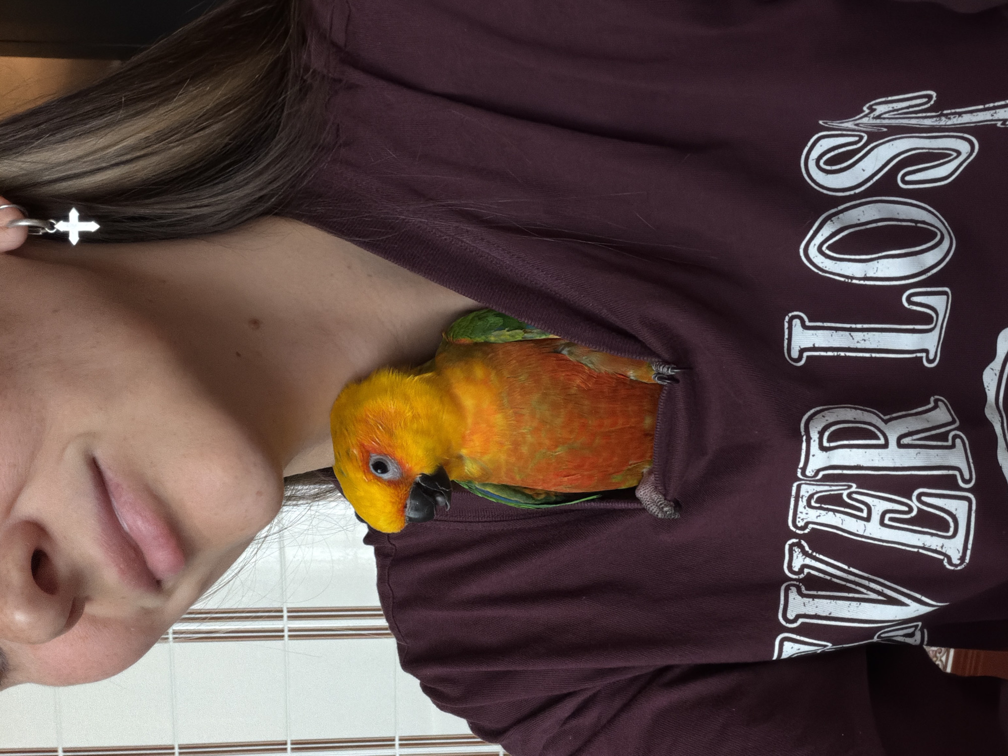 A woman is posing for a photo with a Sun Conure parrot nestled inside the neck of her maroon shirt. The parrot is primarily yellow and orange with some green. The woman is fair-skinned, wearing a cross earring, and part of her face and shoulder is visible. The maroon shirt has white lettering, some of which is legible as "LOS". The background is a plain white wall. The location is not discernible from the image.