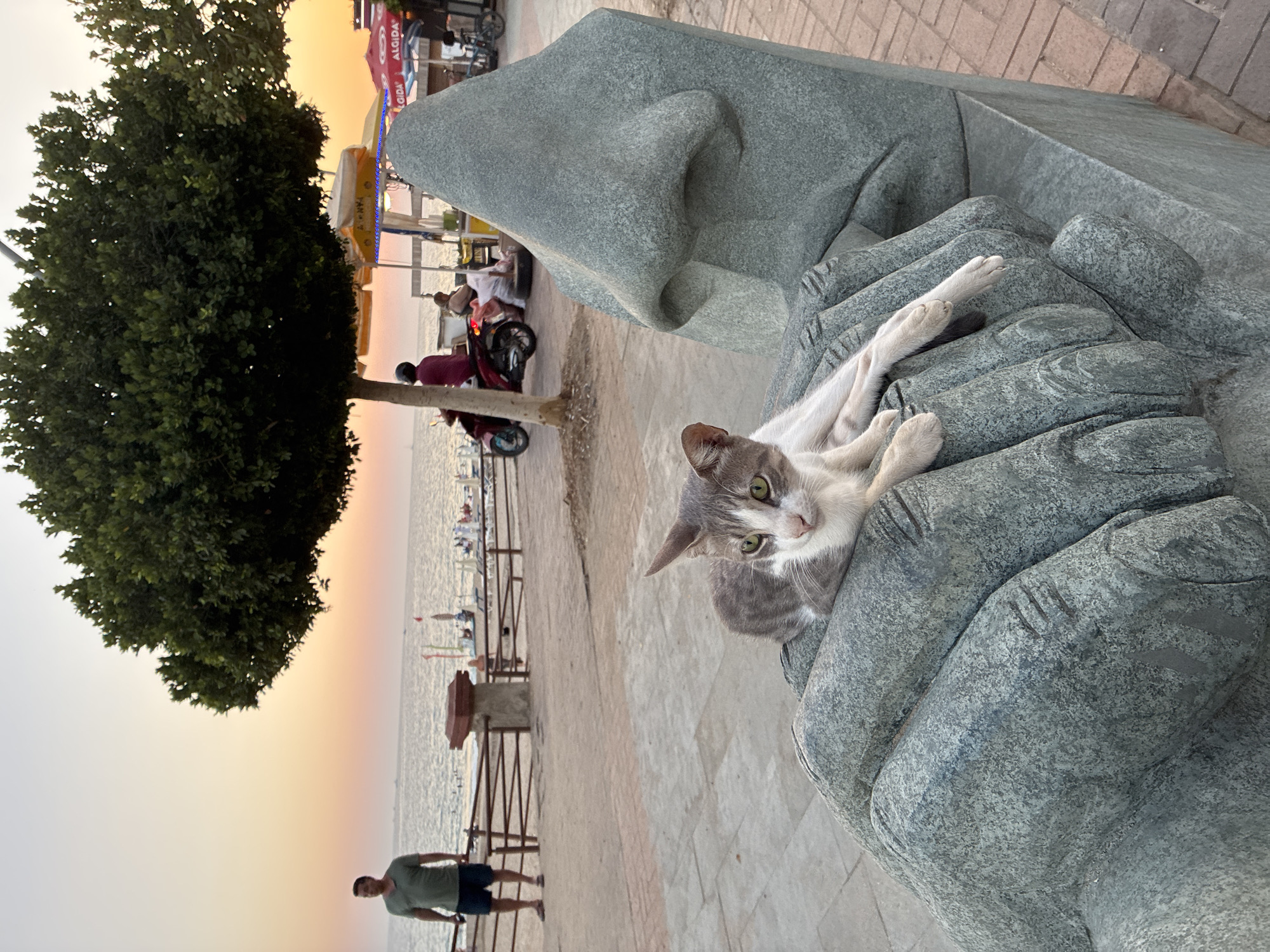 The image captures a cat resting on a stone sculpture resembling a large nose and hands, situated on a paved walkway overlooking the sea. In the background, the calm waters of the sea are visible, with a few boats and beachgoers. A man in a green t-shirt and shorts stands near the water, looking towards the sea. Further back, under a large tree, a woman rides a scooter, and other people are seated under umbrellas. The scene appears to be a promenade in Alanya, Turkey, during the golden hour, with the warm hues of the sunset painting the sky. The sculpture is the focal point of the foreground, with the cat calmly perched on its sculpted hand, adding a touch of natural life to the artistic composition. The overall atmosphere is peaceful and serene, embodying a typical evening by the Mediterranean coast.
