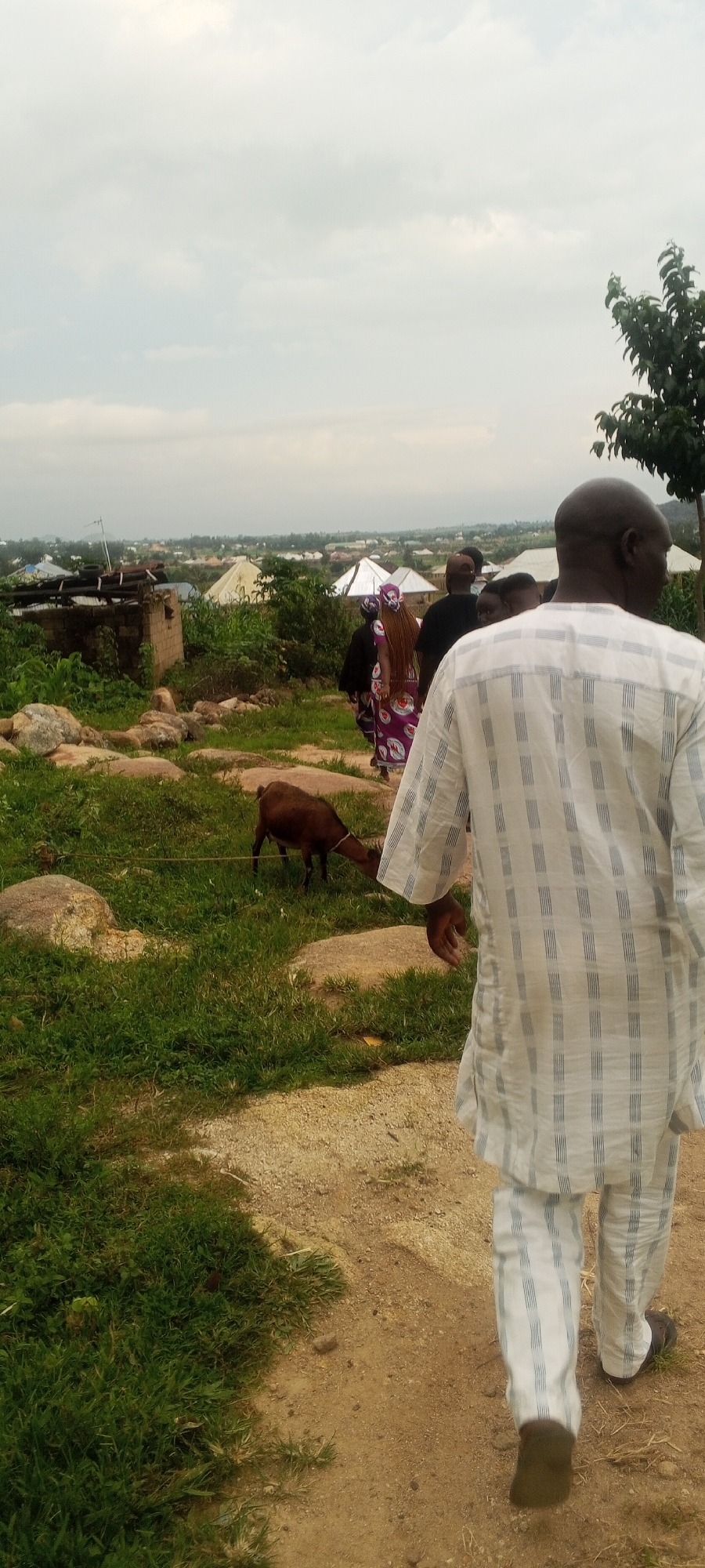The image depicts a scene in Ohit, Nigeria, featuring a group of people walking outdoors on a dirt path. In the foreground, a man wearing a white and blue striped traditional outfit walks away from the camera. To his left and further back, a brown goat is grazing on green grass, tethered by a rope. Behind the goat, a group of individuals are walking in the same direction as the man in the foreground. They are partially obscured by foliage and other people, but one woman in a purple and white patterned dress is clearly visible. The background shows a town with various buildings, including some with white tent-like roofs, and lush green vegetation. The sky is overcast with light clouds. The overall impression is of a rural or semi-rural setting on a cloudy day.