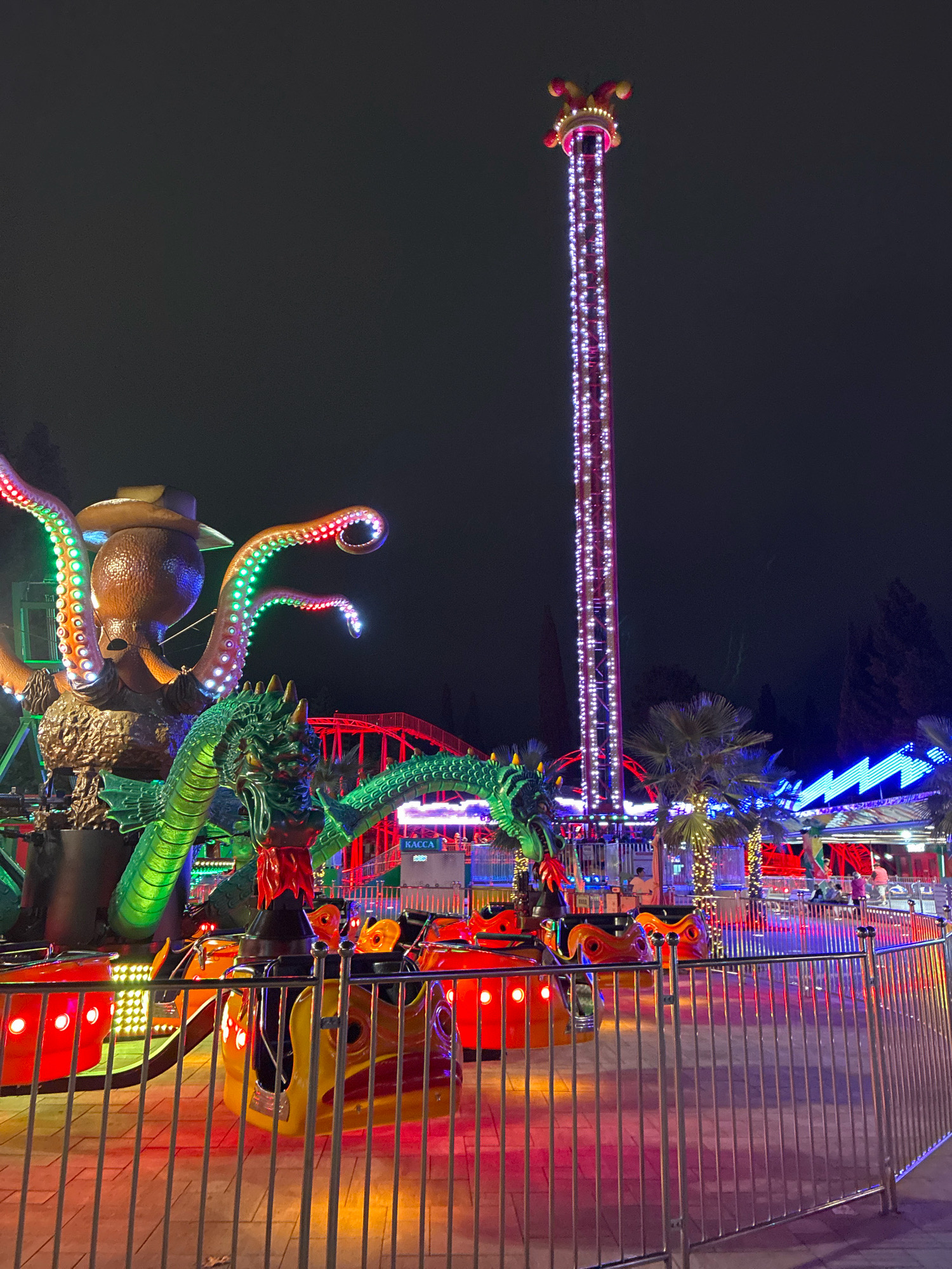 The image depicts an amusement park at night in Sochi, Russia. In the foreground, a metal fence encloses a ride with several brightly colored vehicles, appearing to be in a stationary state. These vehicles are red and yellow with cartoonish designs and orange seats. Behind them, a large, elaborate ride features a detailed green dragon intertwined with what appears to be a giant octopus wearing a cowboy hat. The octopus's tentacles are illuminated with colorful LED lights. To the right, a tall, slender tower ride, also adorned with numerous lights, dominates the skyline. Palm trees and other foliage are visible in the background, along with other amusement park structures and rides displaying vibrant, neon-like lighting in blue and red. The overall scene is illuminated by artificial lights, creating a festive and energetic atmosphere.