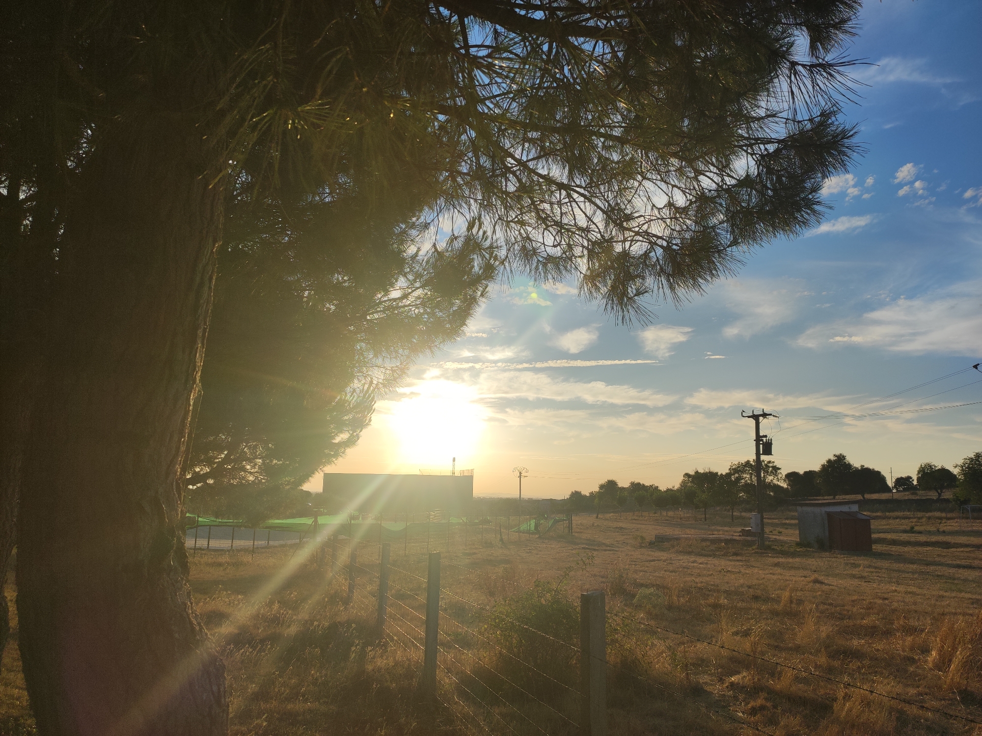 The image depicts a rural landscape at sunset in Sobradillo, Spain. A large tree dominates the left foreground, its trunk rough and textured, casting a shadow across the field. Sunlight streams through the tree's branches, creating a lens flare effect that highlights the golden hour. In the mid-ground, a wire fence runs horizontally across the scene. Beyond the fence, dry, yellow grass covers the field, interspersed with scattered bushes and trees. A building, possibly a shed or storage unit, is visible on the right side of the field, with a wooden door and a concrete base. A utility pole with transformer equipment stands further into the field. In the far distance, the sun is low on the horizon, illuminating a silhouetted structure. The sky is a gradient of blue and orange, with scattered white clouds. The overall impression is one of a serene, natural setting bathed in the warm light of sunset.