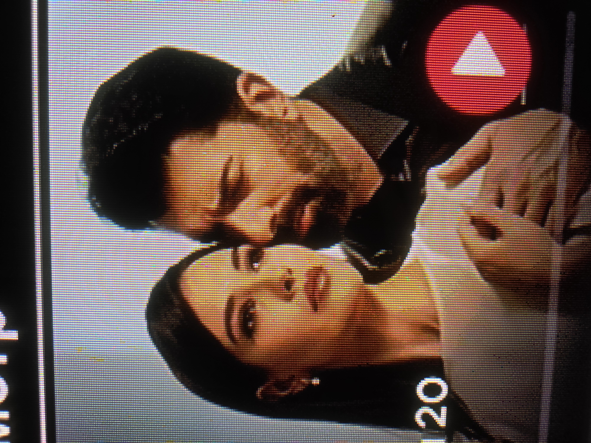 The image shows a close-up of two individuals, a woman and a man, in what appears to be a screenshot from a video. The woman is on the left, her face partially visible and turned slightly to the right, with dark hair framing her face. She is wearing a light-colored top and a small earring. The man is on the right, his face also partially visible, turned towards the woman. He has dark hair and a beard, and is wearing a dark shirt. In the lower left corner of the image, the number "120" is visible in white text against a dark background. In the lower right corner, there is a red circular play button with a white triangle inside, indicating a video playback interface. The background is a gradient of light and dark, with the overall impression being of a scene from a dramatic or romantic context. The resolution of the image is low, suggesting it might be a capture from a screen or a low-quality digital photo. There is no discernible information within the image to indicate the city of Shelkovskaya, Russia.