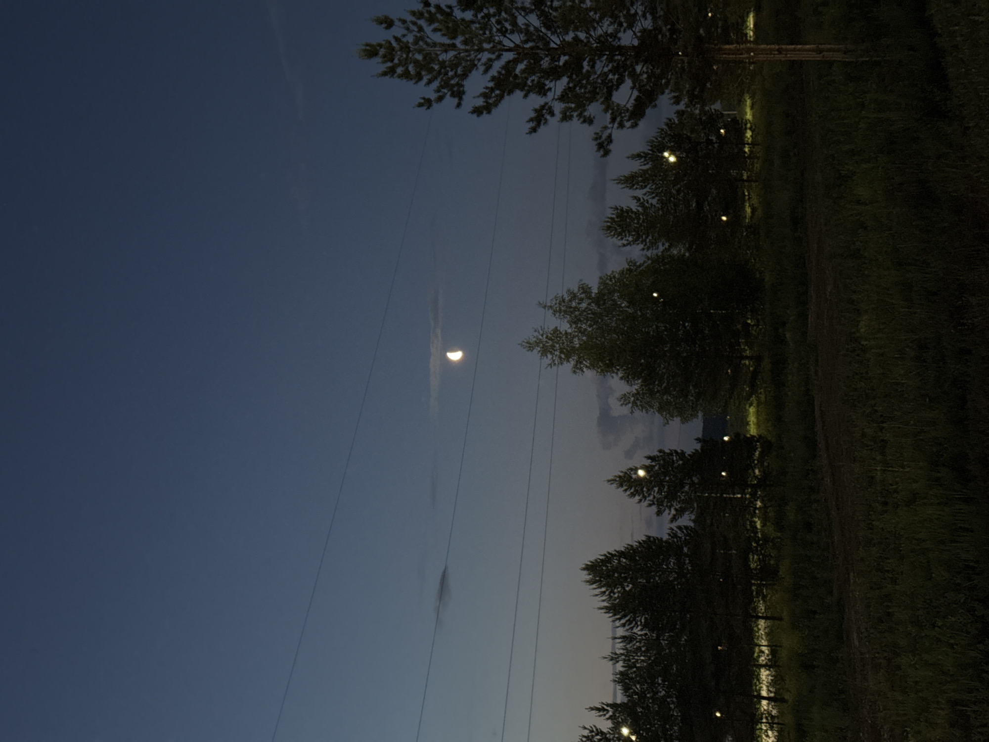 The image depicts a twilight scene with a crescent moon visible in a dark blue sky. Several power lines stretch across the frame, with the silhouettes of coniferous trees forming a dense line in the middle ground. Small, bright lights, possibly streetlights, are scattered amongst the trees. The foreground consists of tall grass and a dirt path, suggesting a natural or semi-rural setting, possibly on the outskirts of a city like Sarapul, Russia. No people are present in the image, and the overall atmosphere is calm and serene.