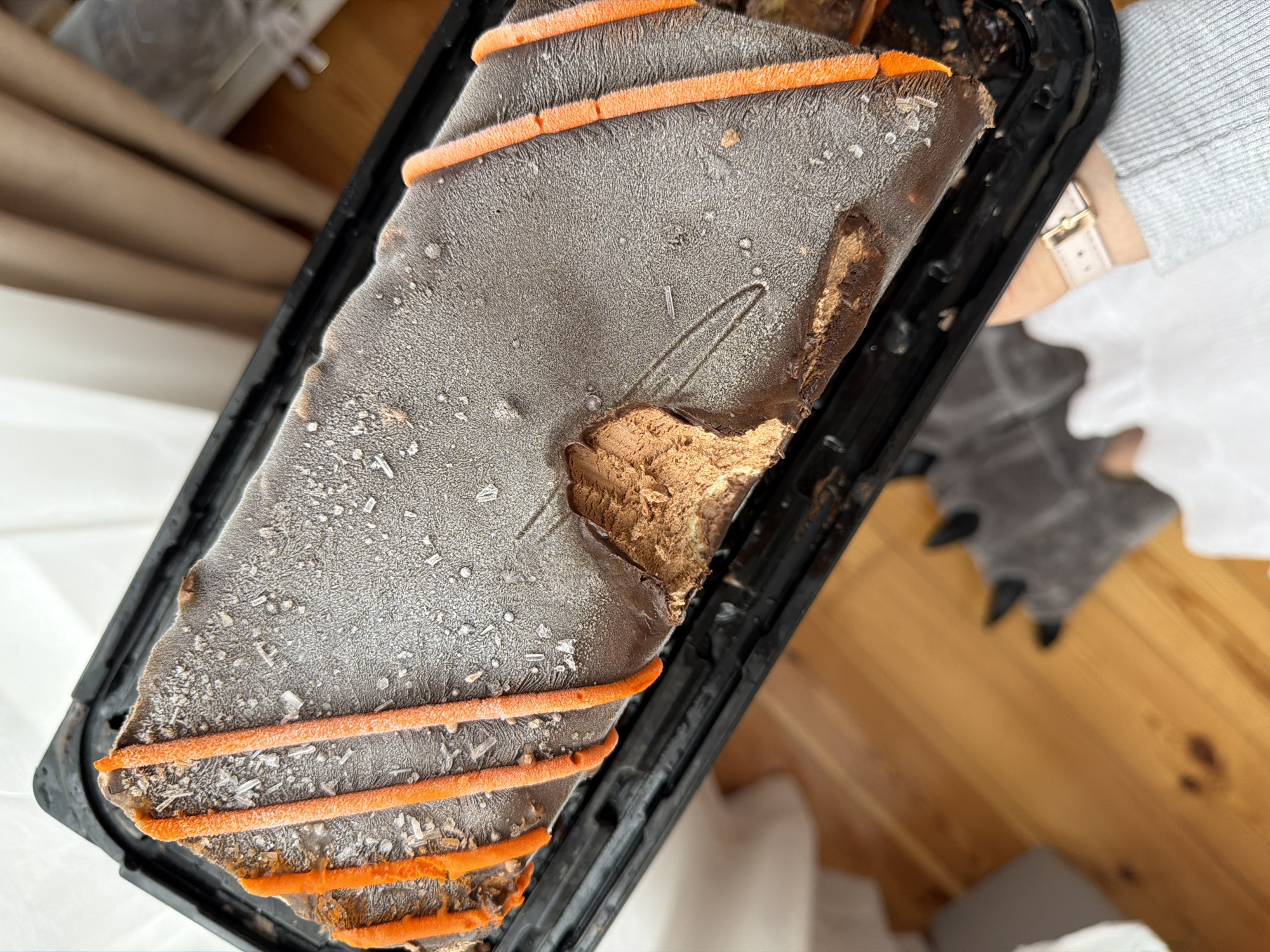 An overhead view captures a rectangular, dark brown, frozen dessert held in a black plastic container. The dessert features a chocolate coating partially covered in frost crystals, and three distinct parallel orange stripes run across its surface. A bite has been taken from the upper left side, revealing a lighter brown, textured interior. A human left hand, clad in a light gray long-sleeved garment and adorned with a light pink wristband featuring a gold-colored buckle, grips the black container from below. The background features a light brown wooden floor, upon which a blurry dark gray object resembling a slipper with claw-like protrusions is visible. In the upper right background, a beige curtain and a white wall are partially discernible. The scene depicts an indoor setting, consistent with a residence or hotel in Budva, Montenegro.