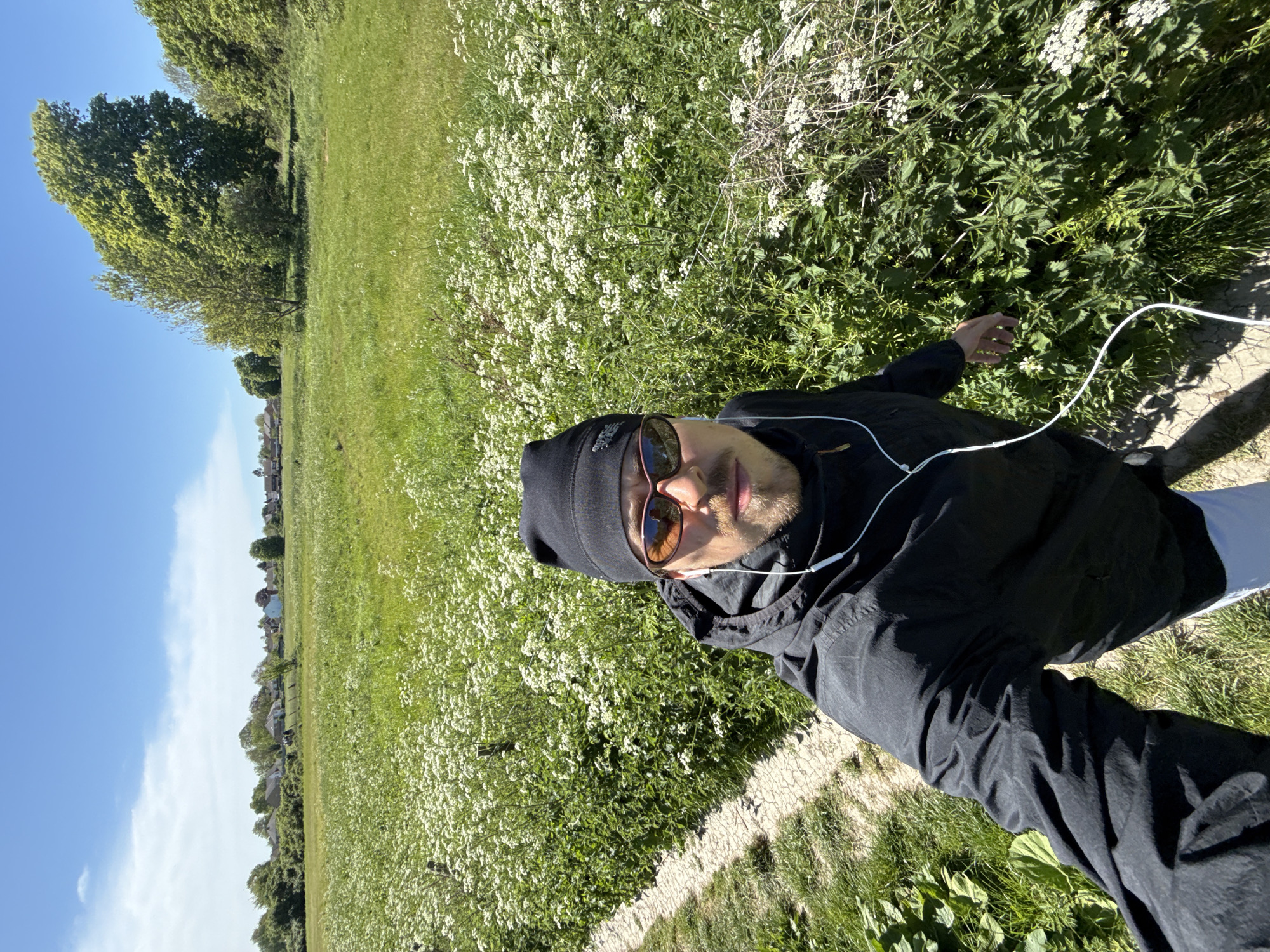 The image captures a selfie of a person outdoors in a sunny, expansive field, likely in Stotfold, United Kingdom. The central subject is a person, appearing to be a young to middle-aged male, positioned in the lower center of the frame. He is wearing a black beanie with an indiscernible white logo/text, reflective brown-tinted sunglasses, and a black jacket. White wired earphones are visible, with the wires extending from his ears. He has a light beard or stubble. His right hand is visible towards the lower right, reaching slightly into some vegetation.
The setting is a vibrant green landscape under a bright, clear blue sky with a few wispy white clouds. The ground is covered with lush grass and numerous small white wildflowers, which blanket a significant portion of the field, especially to the person's left and behind him. A worn dirt path or track runs along the bottom edge of the image. In the background, large, leafy green trees line the horizon on the left, and further in the distance, residential buildings can be seen, partially obscured by trees.
The activity taking place is a self-portrait (selfie) in a natural outdoor environment. The bright sunlight casts distinct shadows, indicating it is likely midday or early afternoon. The weather appears to be very sunny and pleasant. The person's expression is neutral, suggesting a calm or relaxed state. No other distinct text is clearly visible on any objects besides the logo on the beanie.
