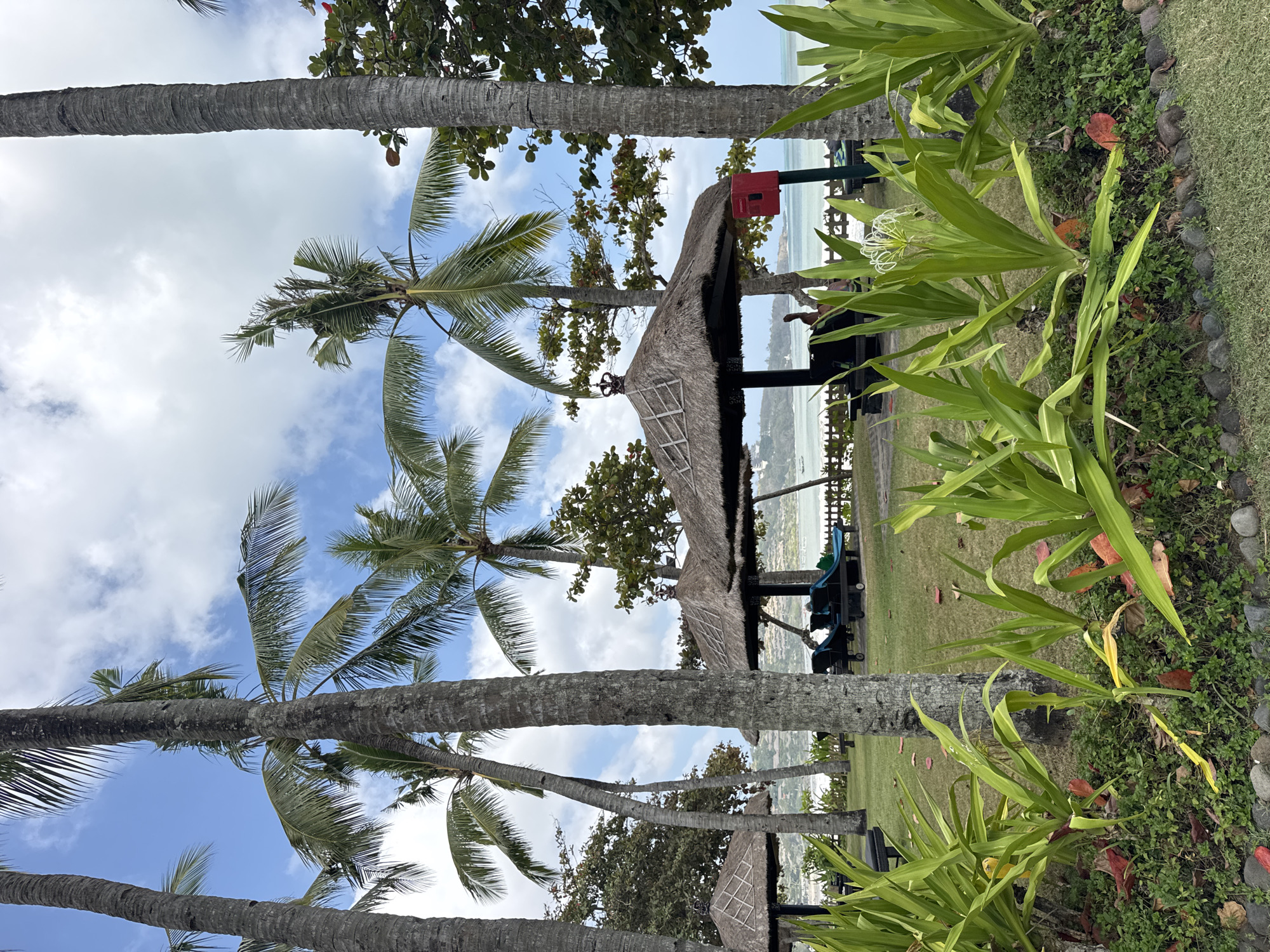 A vibrant, tropical resort scene unfolds in Kuta Selatan, Indonesia, under a bright, cloudy sky. Tall, mature palm trees dominate the foreground, their trunks textured and grey, with feathery fronds reaching towards the heavens. A lush green lawn stretches out, dotted with scattered red leaves. In the middle ground, two thatched-roof gazebos with intricate wooden detailing offer shaded relaxation. Inside one gazebo, two dark lounge chairs are visible. A small red box, possibly a fire alarm, is mounted on a pole near the gazebo. Beyond the gazebos, a calm body of water, likely the ocean, meets the horizon, with distant hills and scattered structures suggesting a populated coastline. A few small boats are visible on the water. In the immediate foreground, large, glossy green leaves of a tropical plant fan out, with a delicate white spider lily blooming in the center. The overall atmosphere is one of serene tropical vacationing.