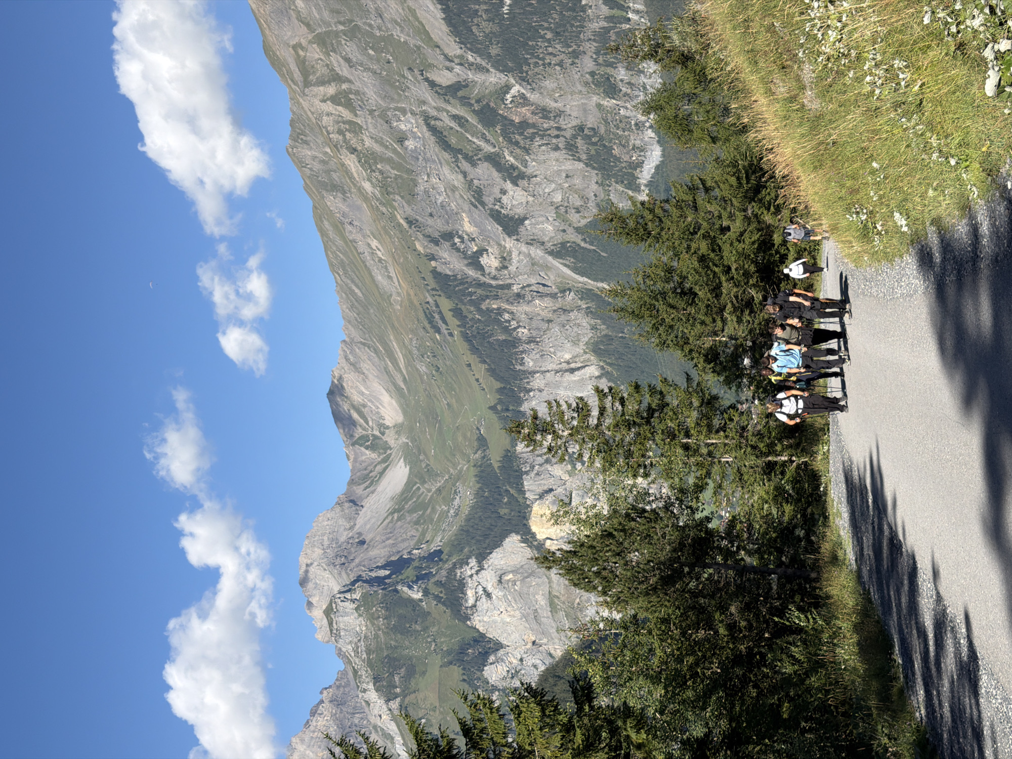 The image depicts a group of eight individuals hiking on a paved path in the Swiss Alps, likely near Kandersteg, Switzerland, given the mountainous terrain. The hikers, appearing to be adults, are walking in a line, some using hiking poles. They are dressed in casual outdoor clothing suitable for hiking.
The environment is characterized by a steep, tree-covered mountainside on the left, with a majestic mountain range dominating the background. The sky is a clear blue with scattered white clouds. The foreground features a grassy slope with wildflowers on the right side of the path. The path itself appears to be a well-maintained trail, possibly a scenic route for tourists. The sun is shining, casting shadows on the path, suggesting it is daytime.