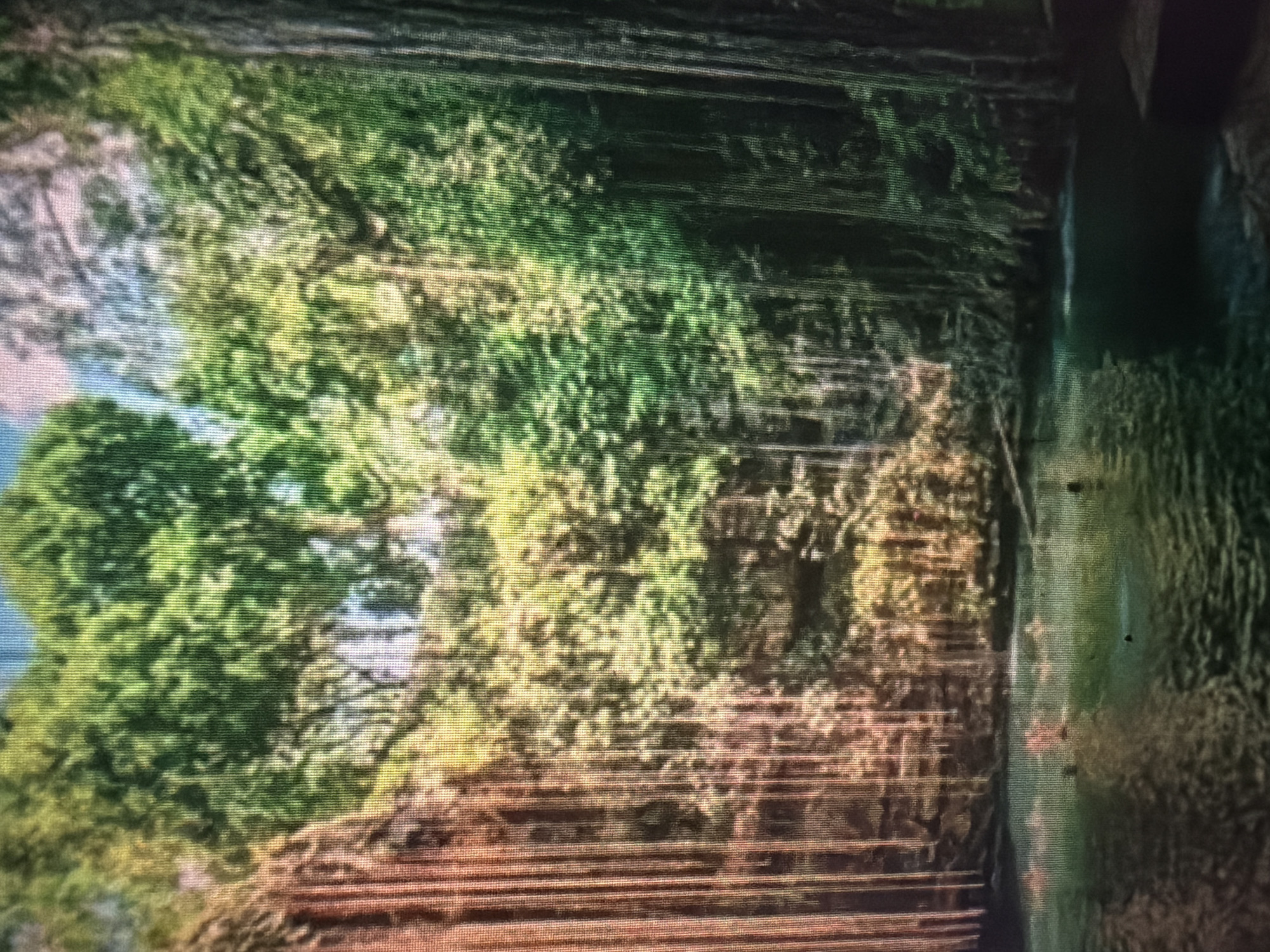 The image depicts a cenote, a natural pit or sinkhole, filled with emerald-colored water. Lush green foliage and trees surround the cenote, with some plants hanging down from the rocky walls. The scene is bathed in dappled sunlight, creating a vibrant and serene atmosphere. Several people are visible swimming and relaxing in the water. The location is identified as Baan Mae Nam, Thailand.