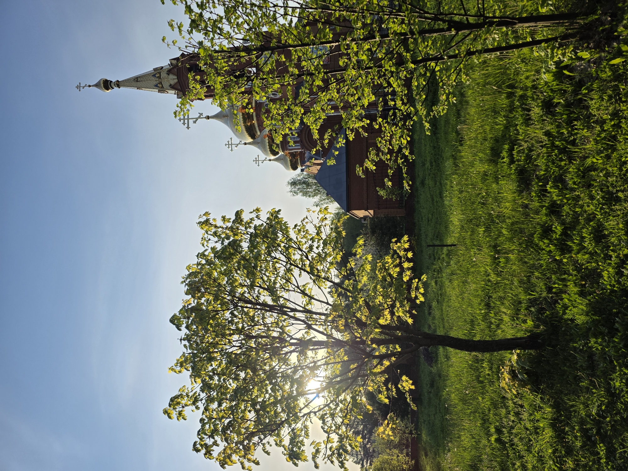 The image depicts a scene in Chaikovsky, Russia, featuring a Russian Orthodox church on a grassy field. The church is visible behind a tree with bright green leaves, with the sun shining through the branches. The church has golden domes and a tall spire, typical of Russian Orthodox architecture. The sky is clear and blue. The scene conveys a sense of peace and tranquility.