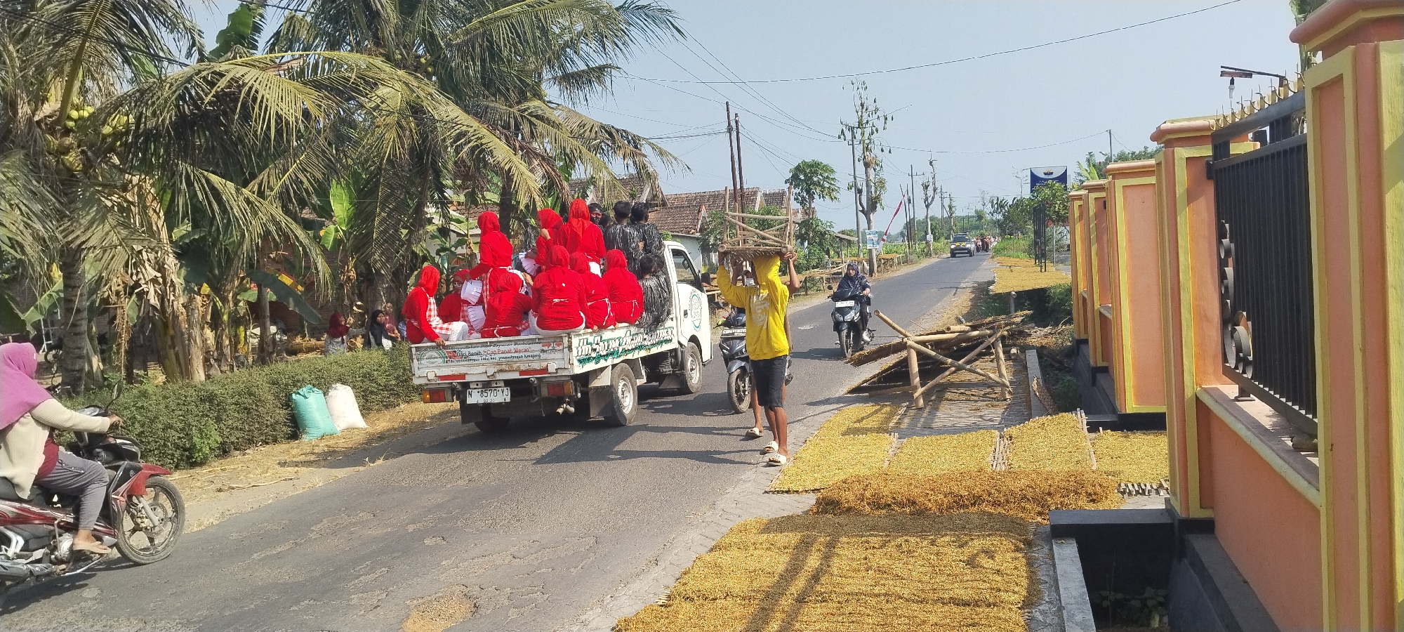 The image depicts a scene on a sunny day on a road in Yosowilangun Kidul, Indonesia. A white pickup truck is the central focus, filled with approximately 15 people, most of whom are wearing red attire and headscarves. Some individuals in the truck are seated, while others are standing. In front of the truck, a person in a yellow shirt carries a wooden structure on their head, walking on the road. Behind the truck, a man rides a motorcycle, and another motorcycle is parked on the side of the road. To the right of the road, dried yellow material, possibly crops like tobacco or rice, is spread out on mats for drying, with some bamboo structures nearby. Further down the road, other people and vehicles are visible. The environment is characterized by palm trees and other vegetation lining the sides of the road, with houses and buildings in the background. A decorative fence with orange and yellow accents is prominent on the right side of the image.