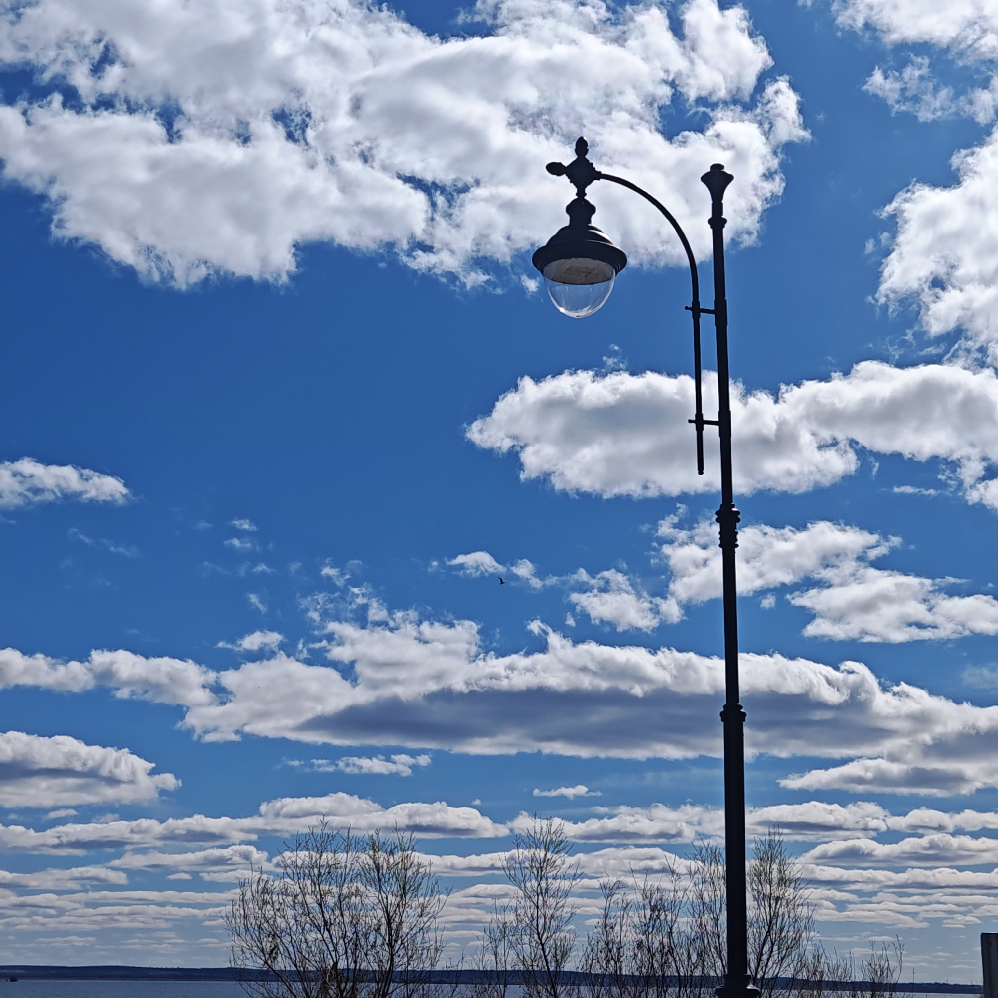A long, dark lamppost stands prominently in the foreground against a bright blue sky dotted with numerous white clouds. Below the lamppost are small, bare trees with spindly branches. In the distant background, a body of water stretches across the horizon. The image appears to have been taken outdoors on a day with clear skies and visible cloud formations. Although the information is requested in the prompt, the photo is unlikely to be in Rostov-on-Don since the city lacks bodies of water that stretch across the horizon, as presented in the picture.