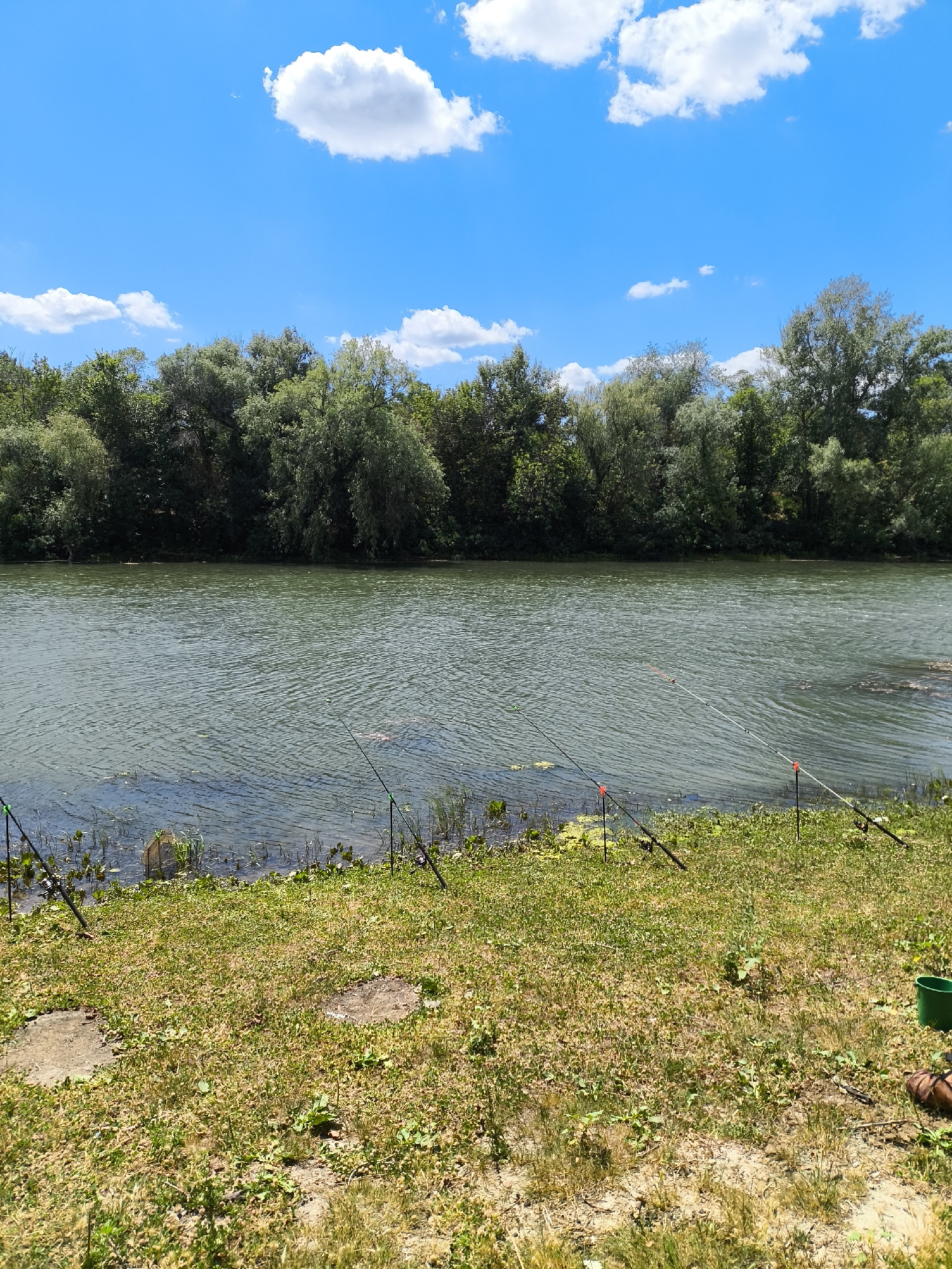 The image depicts a scenic view of a riverbank in Заплавская, Russia, under a bright blue sky with scattered white clouds. The foreground is a grassy area with patches of dry grass and some small stones. Several fishing rods are set up along the river's edge, with their lines cast into the water. A green bucket and what appears to be a person's leg and foot are visible on the right side of the frame, suggesting someone is actively fishing. The river itself is wide and calm, reflecting the surrounding lush green trees that form a dense treeline along the opposite bank. The overall impression is one of a peaceful, outdoor recreational setting.
