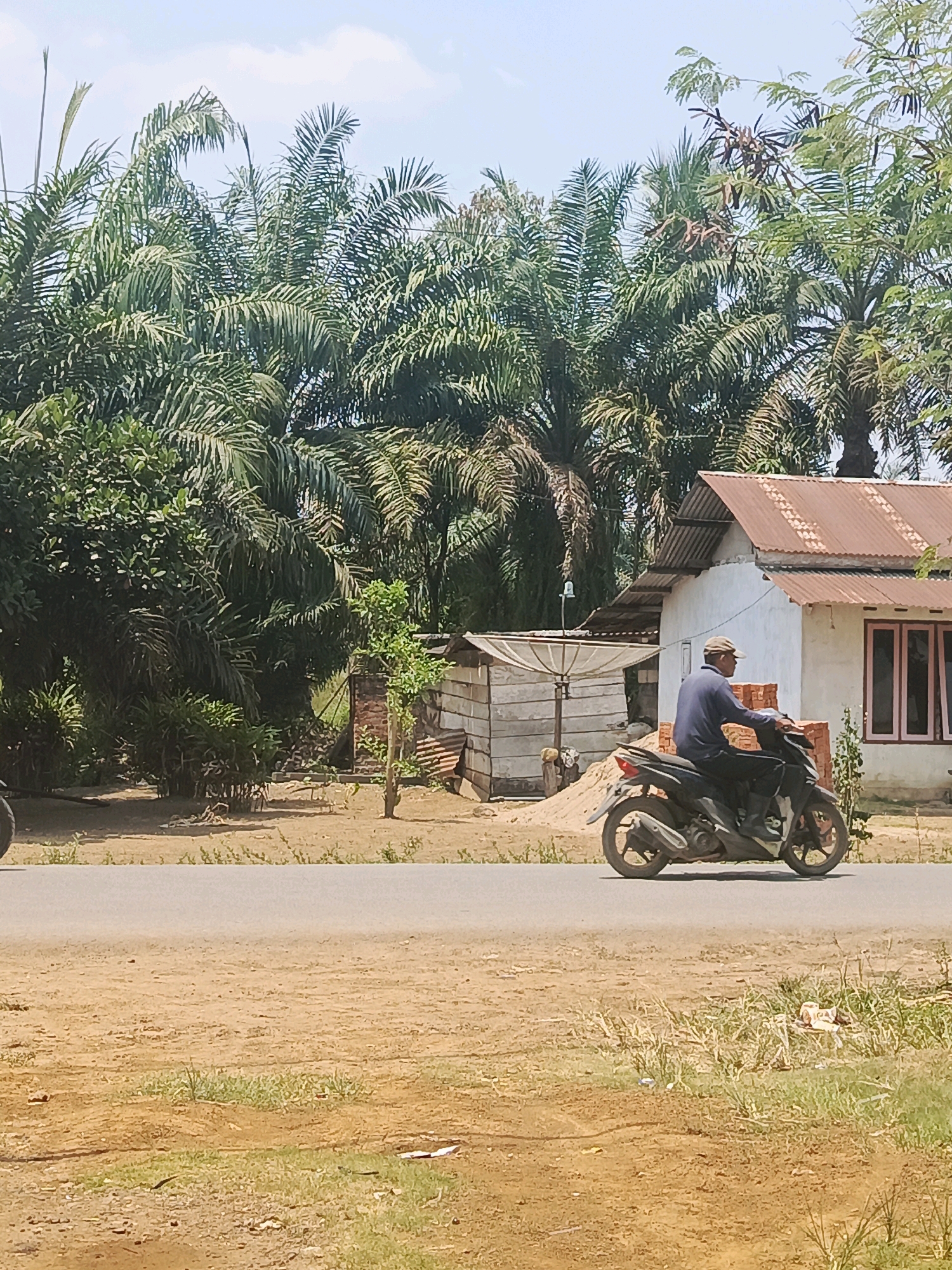 In Megang Sakti I, Indonesia, a man wearing a dark long-sleeved shirt and a cap is riding a black motorcycle on an asphalt road. The man is positioned on the right side of the image, facing left, with his right hand on the handlebars. The motorcycle is a scooter-style model, with a visible exhaust pipe. Behind the road, there is a sandy area with some scattered debris and a small pile of bricks. To the right of the sandy area, a simple white house with a corrugated metal roof and pink-trimmed windows is visible. Next to the house is a smaller structure with a wooden frame and corrugated metal siding. A satellite dish is mounted on the exterior of this smaller structure. In the background, a dense collection of palm trees and other lush green vegetation creates a tropical backdrop under a clear blue sky with scattered white clouds. The ground in the foreground and surrounding the road is predominantly dry, sandy earth with patches of sparse green grass.