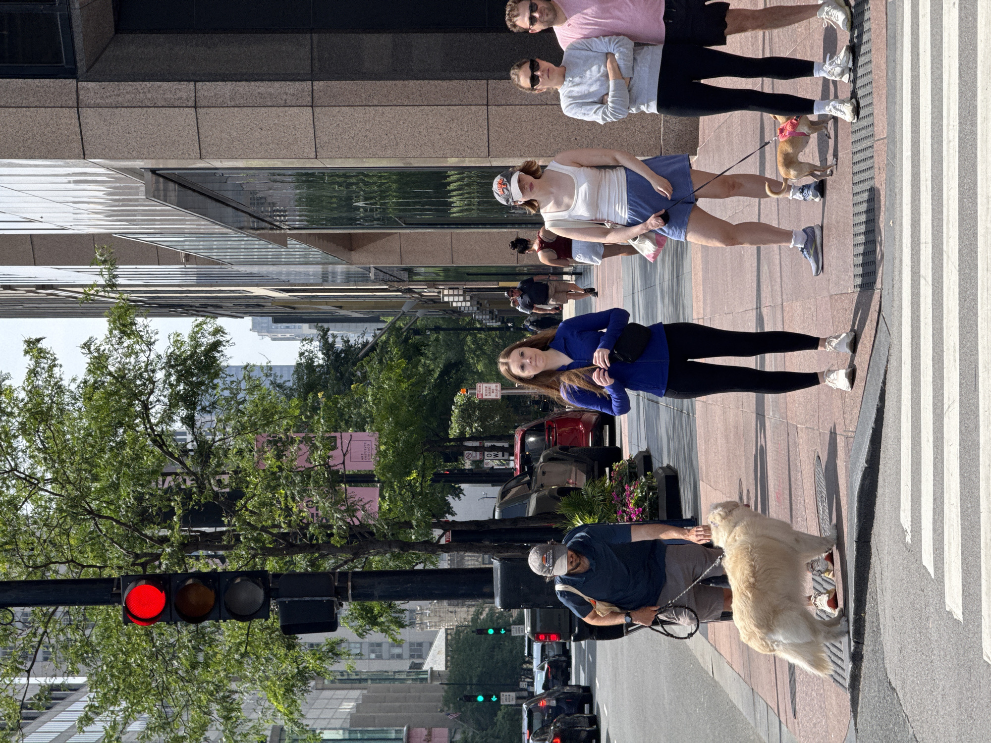 A group of people are walking on a city sidewalk with their dogs. The scene appears to be in Chicago, given the presence of an "ART INSTITUTE CHICAGO" sign. The time of day is likely daytime, as evidenced by the bright sunlight and shadows. The weather seems pleasant.
The subjects include several individuals and two dogs. On the left side of the frame, a man in a blue shirt and a baseball cap is walking a large, light-colored dog on a leash. In the center of the frame, a woman in a white tank top and blue shorts is holding a leash connected to a small, tan dog. Behind her, a couple is walking, with the woman in a pink shirt and the man in a grey long-sleeved shirt. Further back, other people and dogs can be seen walking along the sidewalk.
The setting is a bustling urban environment with buildings lining the sidewalk. A crosswalk is visible in the foreground, and a traffic light showing red is also prominent on the left. Cars are present on the street. The overall mood seems relaxed and casual, with people enjoying a walk with their pets.