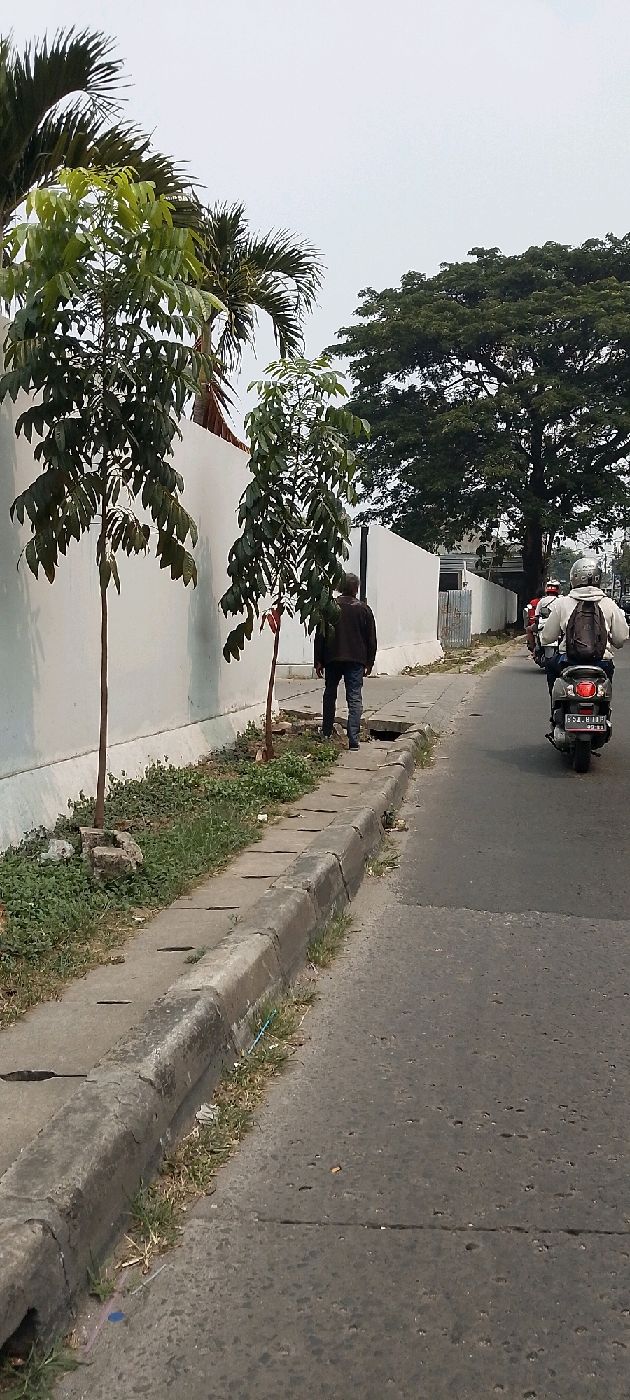 The image captures a street scene in Depok, Indonesia. In the foreground, a concrete sidewalk runs alongside a grey asphalt road. The sidewalk is bordered by a low concrete curb with grass and some debris growing from its edges. Two young trees with green leaves are planted on the grassy strip between the sidewalk and a white wall. A man wearing a dark jacket and blue jeans is walking away from the camera on the sidewalk, his back to the viewer. Further down the road, a person rides a scooter, also facing away from the camera. The scooter has a license plate with the characters "B 5408 TIP". A large, leafy tree dominates the background, with a light-colored sky overhead. The wall on the left appears to be a boundary for a property.