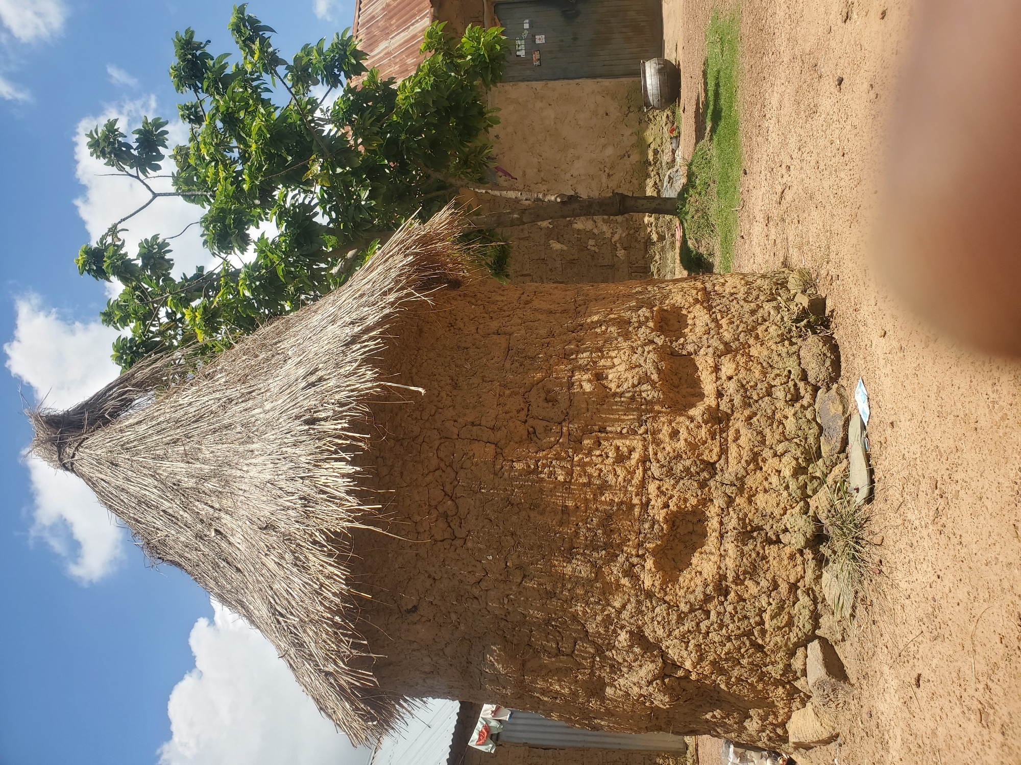 A traditional, conical mud hut with a thatched roof stands prominently in the foreground. The hut's walls are textured and appear to be constructed from clay, showing signs of cracking and age. A small patch of grass and some rocks are visible at the base of the hut. To the right of the hut, a leafy green tree casts a shadow on the sandy ground. Behind the tree and hut, another building with a corrugated metal roof and a wooden door is visible, along with a large metal pot on the ground. The scene is set under a bright blue sky with scattered white clouds. The location is Wumat Central, Nigeria.