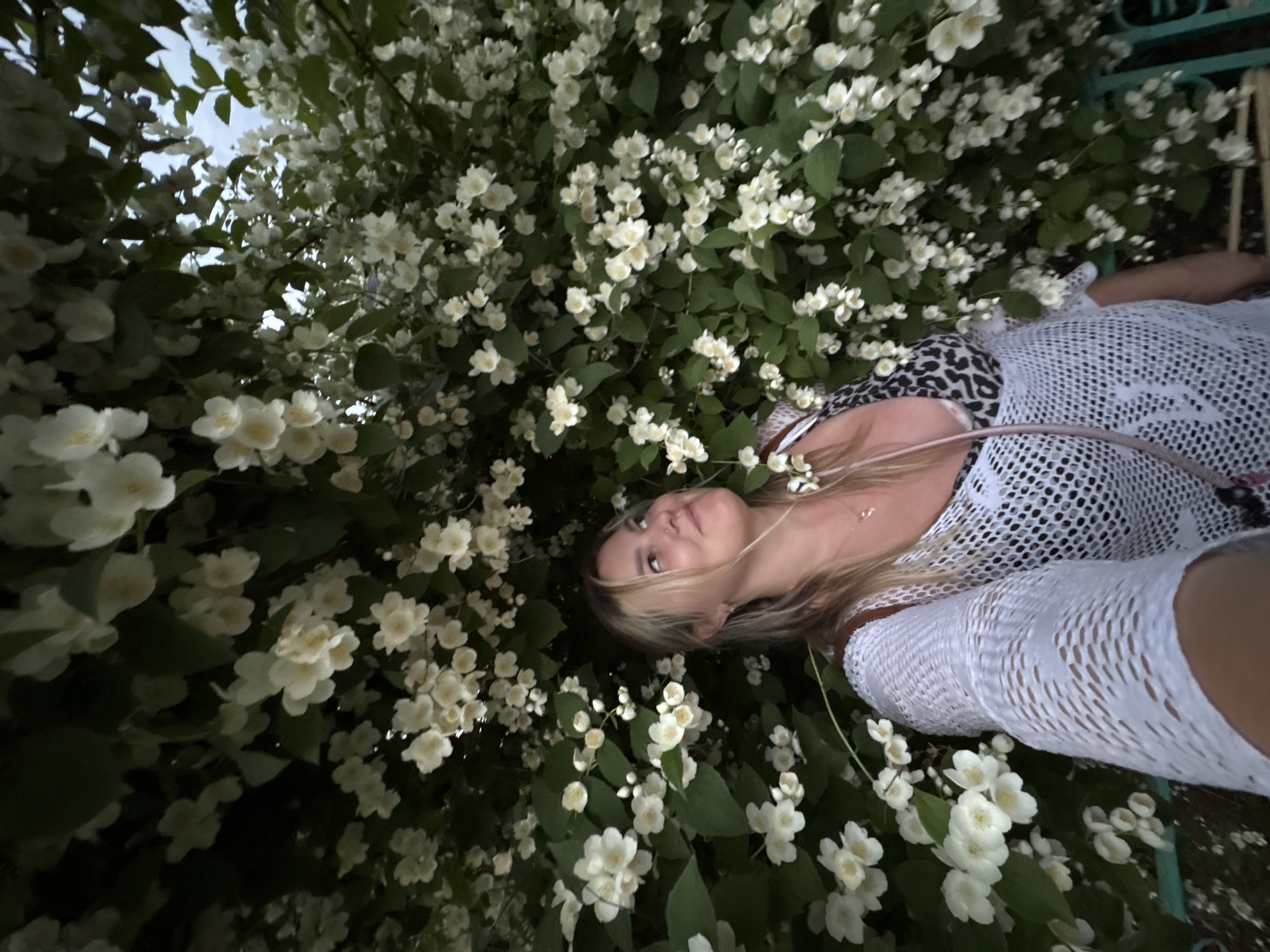 A blonde woman is pictured outdoors, looking up and to her right, with a lush background of white flowers and green leaves. She is wearing a white, sheer crocheted garment over a leopard-print top and a thin strap is visible across her shoulder. The setting appears to be a garden or park in the city of Chaikovsky, Russia, possibly during the evening as indicated by the lighting. A green metal bench is partially visible in the lower left corner.
