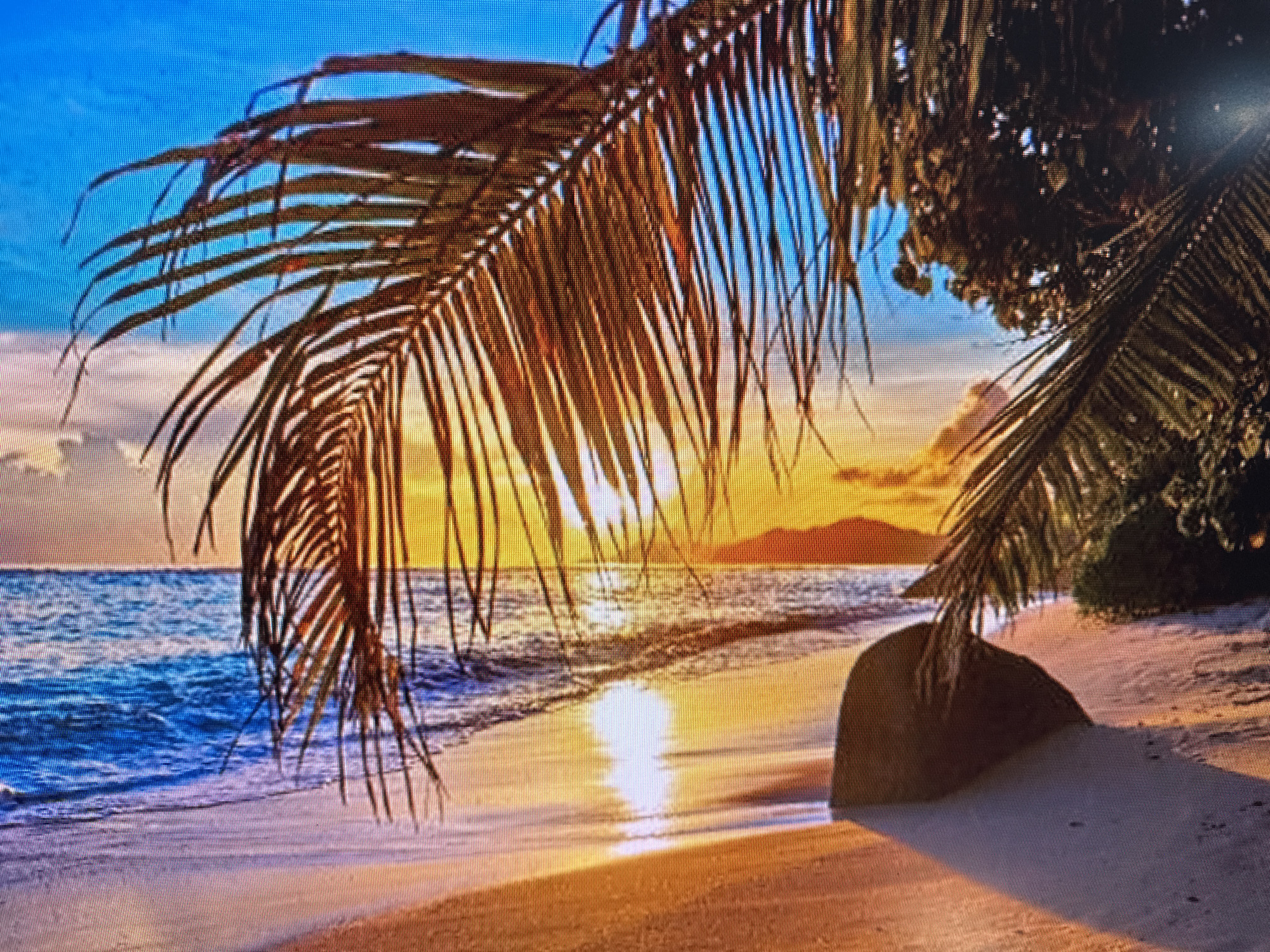 The image depicts a serene beach scene at sunset, likely a tropical location. A palm frond hangs from the upper left, casting shadows on the sand. The sun is low on the horizon, illuminating the sky with vibrant orange and yellow hues. The ocean waves gently lap onto the sandy shore. A large, dark rock is visible on the sand in the foreground. In the distance, a hazy silhouette of hills or mountains can be seen against the colorful sky. The overall impression is one of tranquility and natural beauty. There is no information in the image to suggest a location in Szczecin, Poland; the scene is characteristic of a warm, coastal environment.