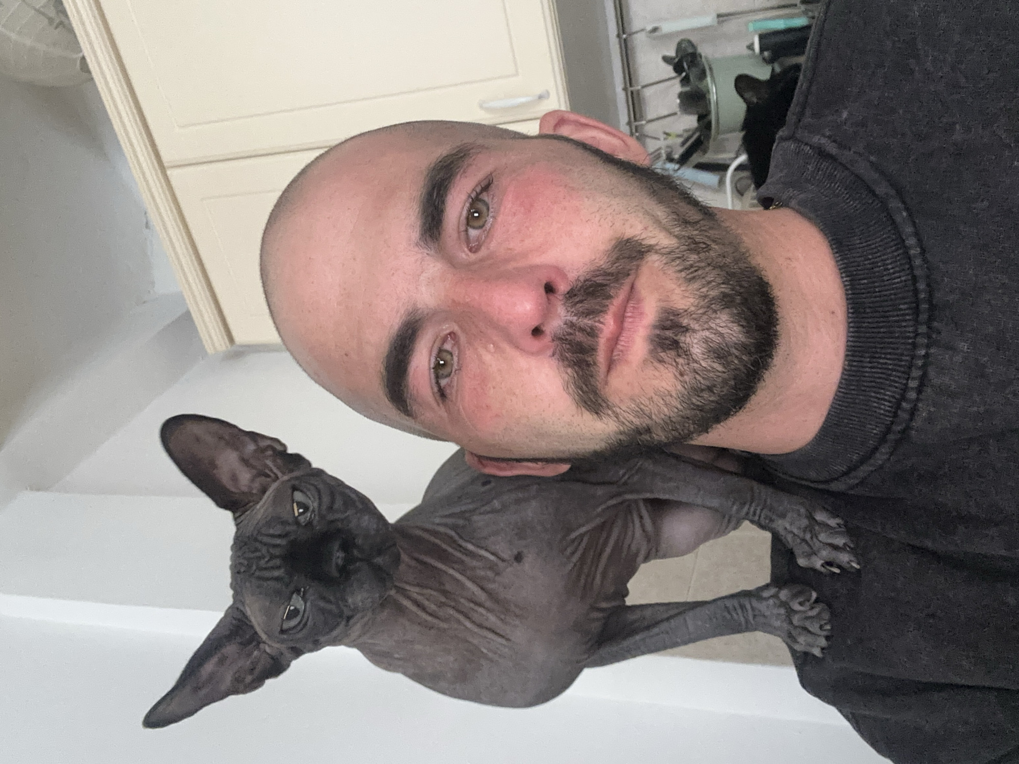 An indoor, vertical selfie-style portrait depicts a man and a Sphynx cat in what appears to be a home in Budva, Montenegro. The man, who is bald with a dark beard and mustache, has light skin and distinct green/hazel eyes, looking directly at the camera with a neutral expression. He is wearing a dark gray crewneck sweatshirt. A dark gray to black, hairless Sphynx cat with prominent ears and yellow/green eyes is positioned on his chest and left shoulder, with its front paws resting on his sweatshirt. The cat also looks towards the camera, showcasing its wrinkled skin, characteristic of the breed.
In the background, light-colored, paneled cabinets are visible on the left side. Partially visible behind the man's right shoulder are a fan or ventilation unit and a dark object, possibly another cat. The room has white walls. The image captures a casual, close-up moment between the man and his unique pet. There is no visible text in the scene.