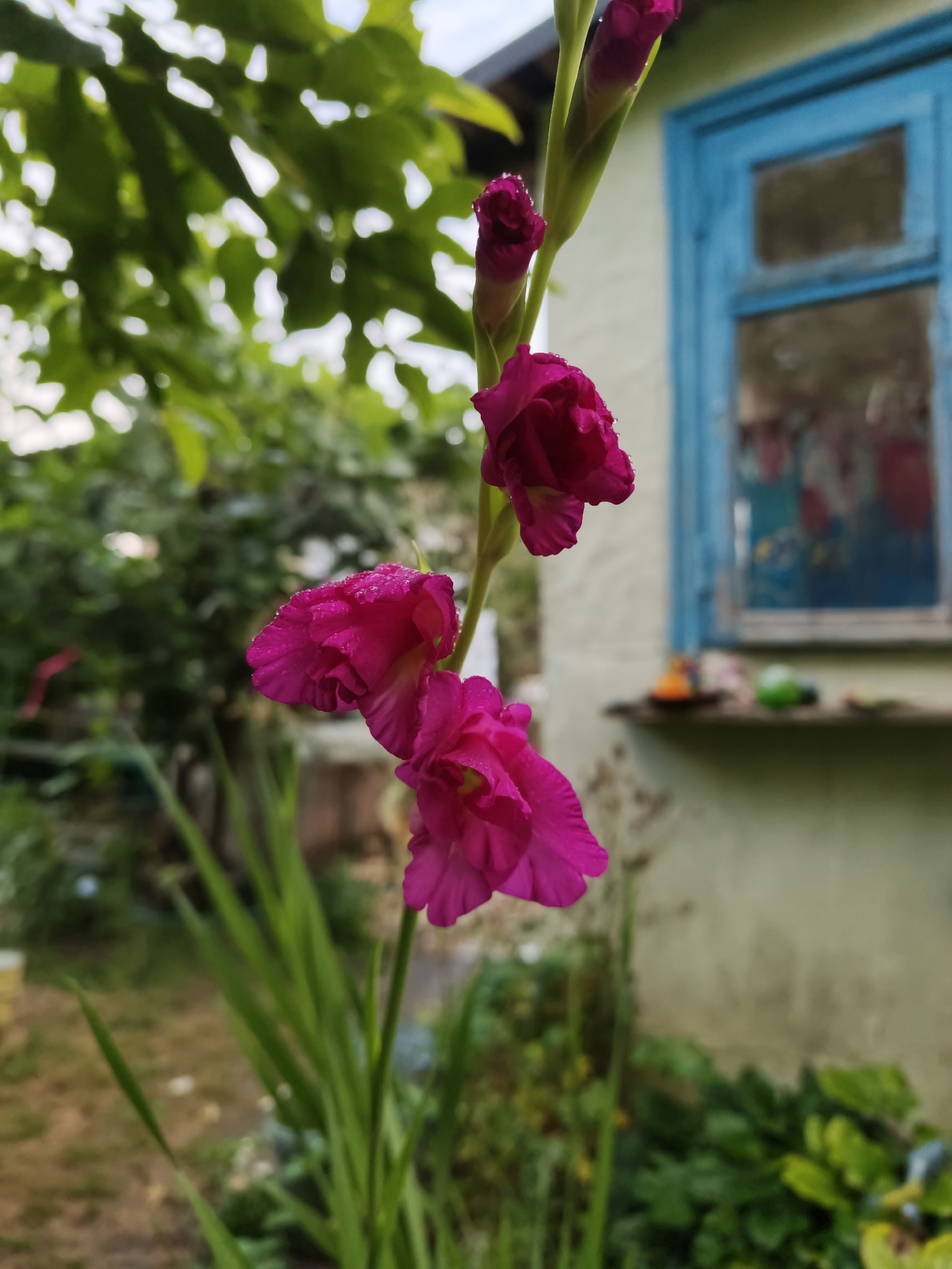 Memory