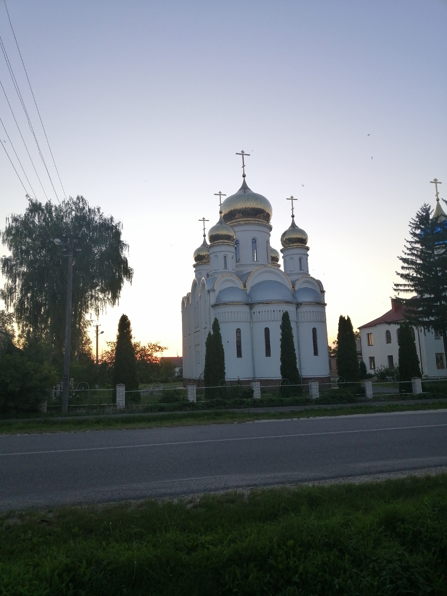 The image depicts a white Orthodox church with golden domes in Lanivtsi, Ukraine. The church is located on the right side of the frame, and a road runs in front of it. A tall tree with drooping branches stands to the left of the church, and there are other trees and bushes in the background. The sky is a pale blue, indicating it is either early morning or late evening. There are no people visible in the image, and the scene is peaceful and quiet. The church is the primary subject of the image, and its architectural features, such as the domes and crosses, are prominent. The overall impression is one of tranquility and religious significance.