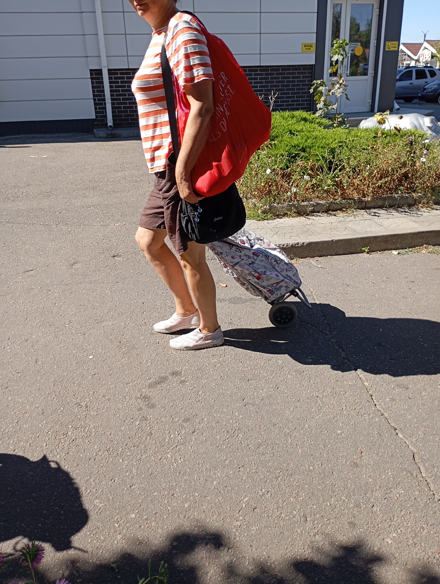 A medium-shot, low-angle, full-body photograph captures an individual from the side, walking on an asphalt surface. The person, wearing a striped orange and white t-shirt, brown shorts, and white sneakers, is pulling a rolling shopping cart. The cart is covered with a patterned fabric, featuring a collage of images. A large red bag is slung over the person's shoulder, partially obscuring the shopping cart. The background shows a modern building with a white and grey facade, a glass door, and lush green bushes. The scene is illuminated by bright sunlight, casting a distinct shadow of the person and the shopping cart onto the asphalt. The location is identified as Horishni Plavni, Ukraine.