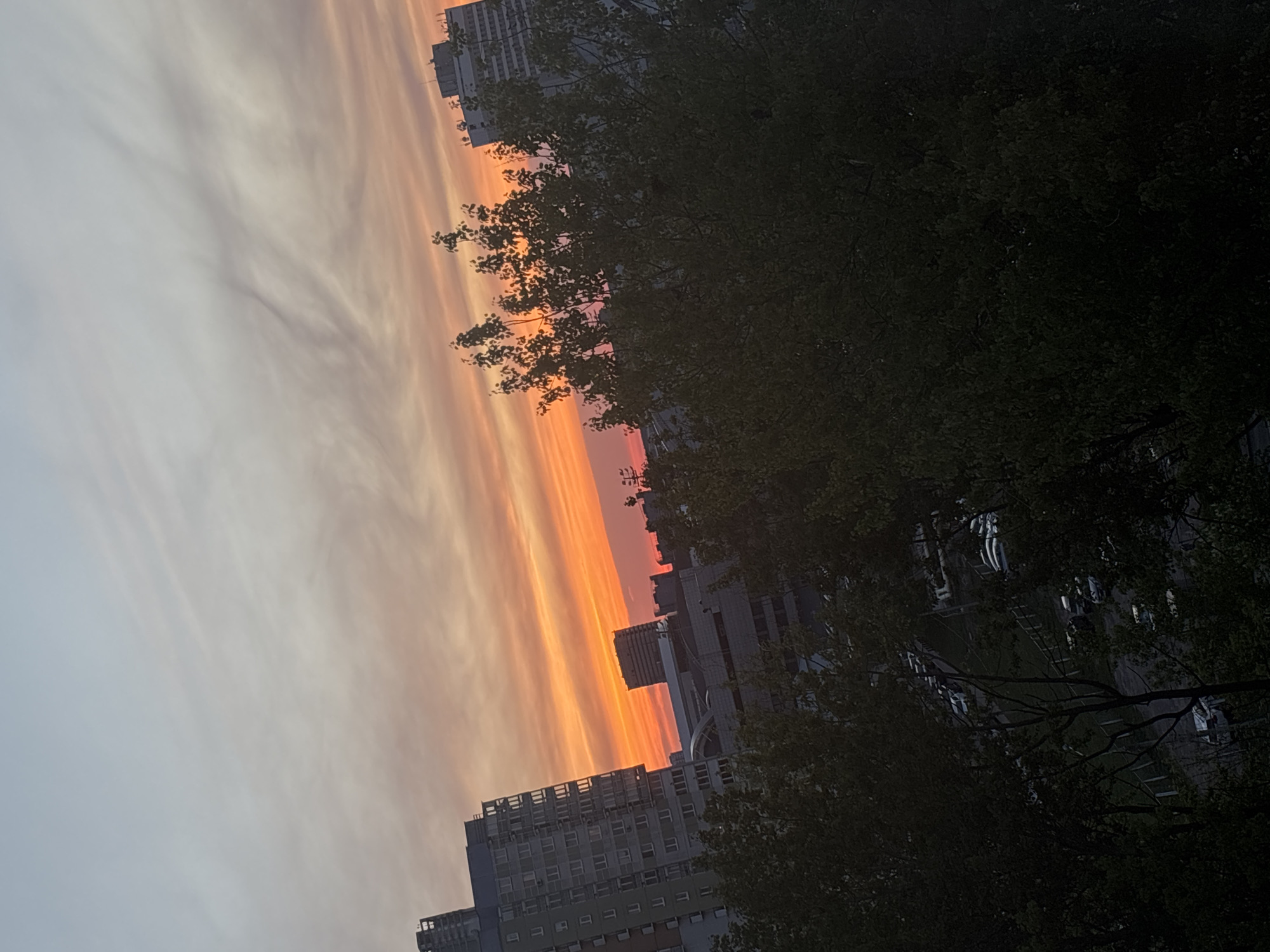 The image depicts a sunset in Minsk, Belarus. The sky is filled with shades of orange and gray, with a few buildings visible in the lower part of the frame. Trees with dark green leaves obscure some of the buildings and part of the right side of the image. The scene appears to be taken from a relatively low angle.
