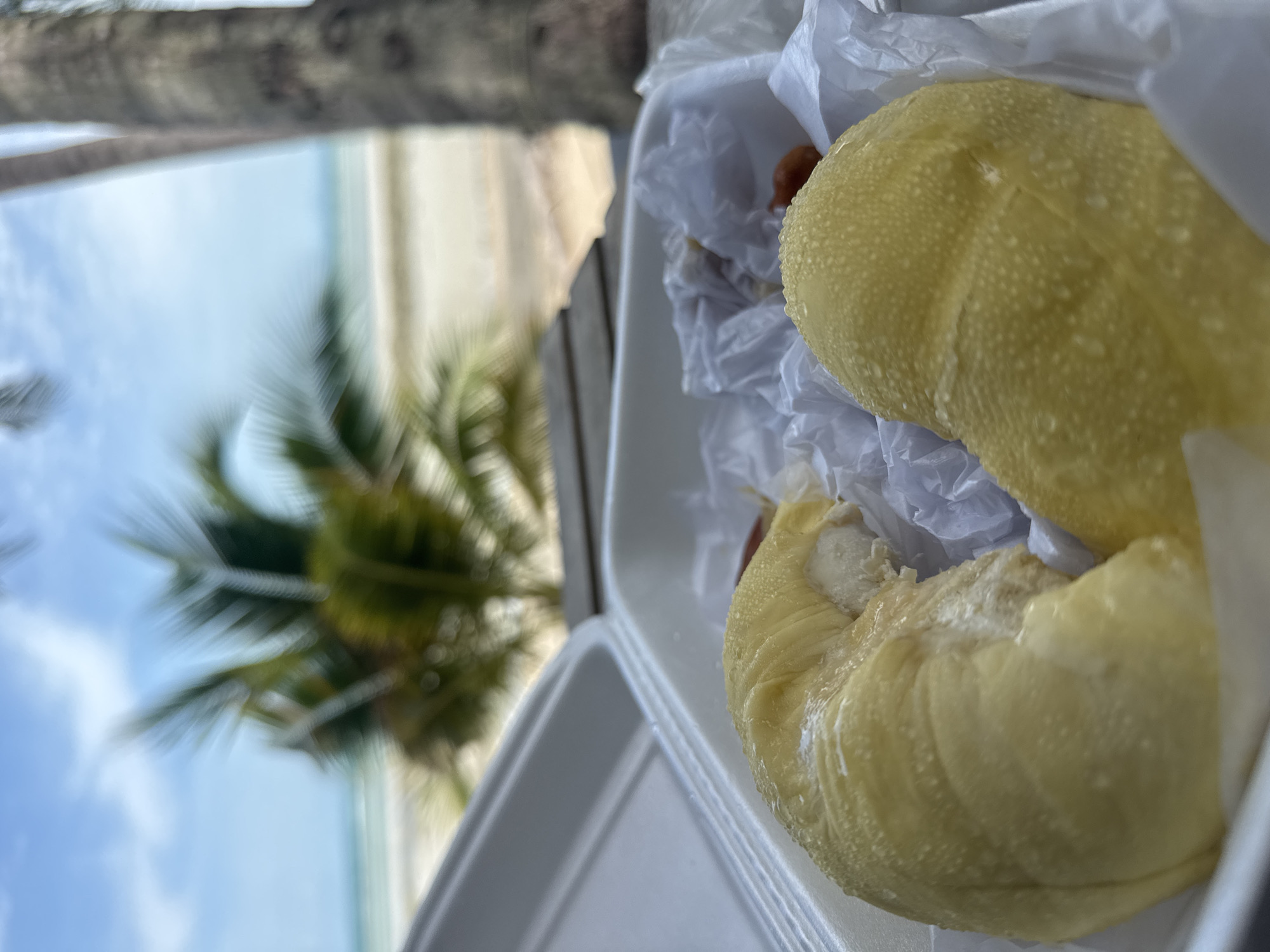 The image depicts a close-up view of two pieces of durian fruit served in a white styrofoam container. The durian flesh is a pale yellow color and appears to be glistening, possibly from moisture or syrup. The fruit is resting on white paper liners within the container. In the background, out of focus, is a tropical beach scene. A palm tree is visible to the right, and its fronds are blurred to the left. Beyond the palm tree, the ocean and a sandy beach can be seen under a bright, cloudy sky. The overall impression is of a tropical setting, likely in the city of Ko Samui District, Thailand, where durian is a popular fruit. There are no people or actions depicted in the image.