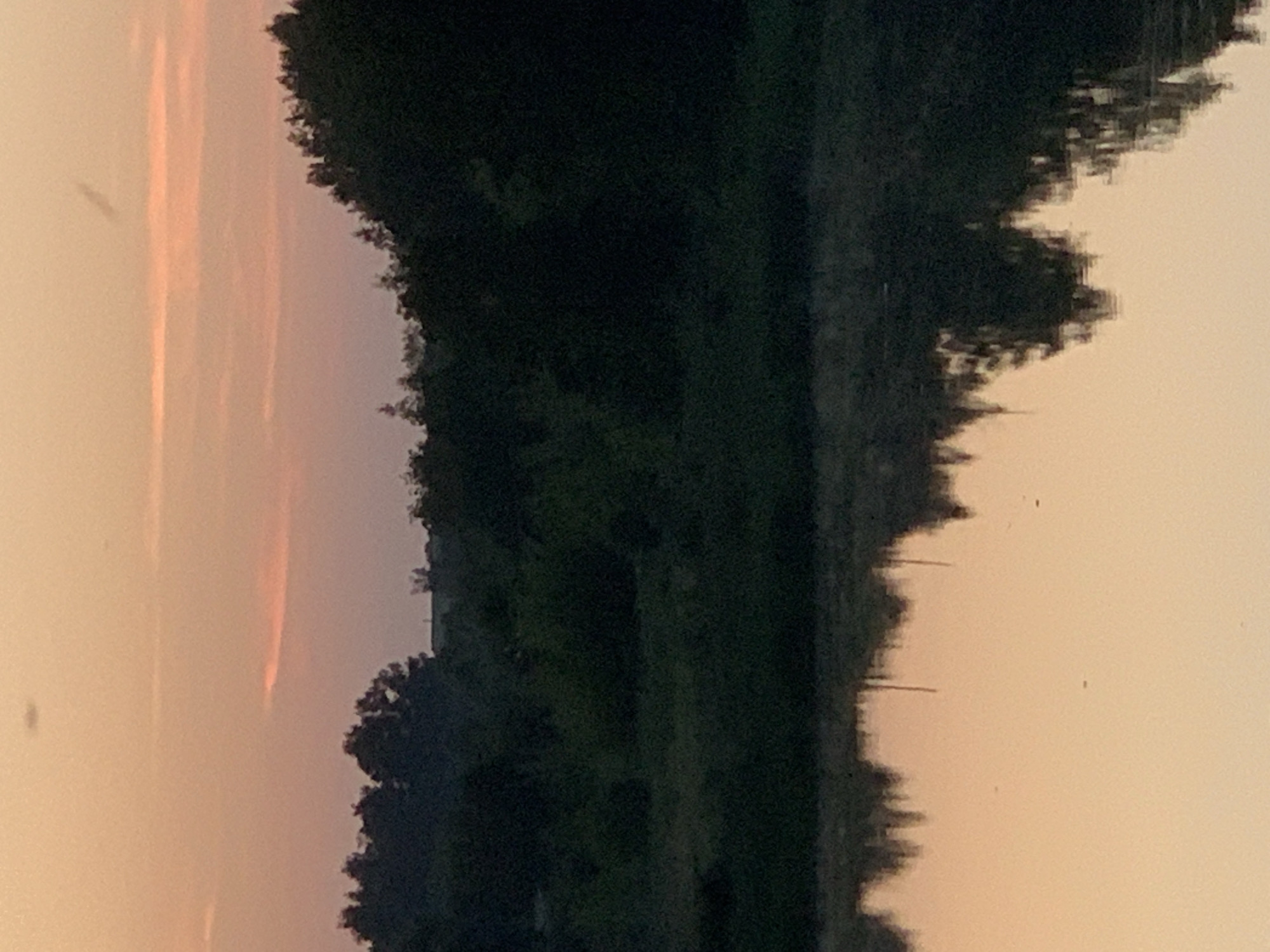 The image depicts a serene natural scene at dusk. The sky is a soft gradient of orange and pink hues, with faint horizontal cloud formations. Below the sky, a dense line of dark green trees forms a natural barrier. In the foreground, a body of still water reflects the colors of the sky and the silhouette of the trees. The overall atmosphere is tranquil and peaceful. The location is identified as Kapyĺ, Belarus. There are no people or man-made objects visible in the image, emphasizing the untouched nature of the landscape.