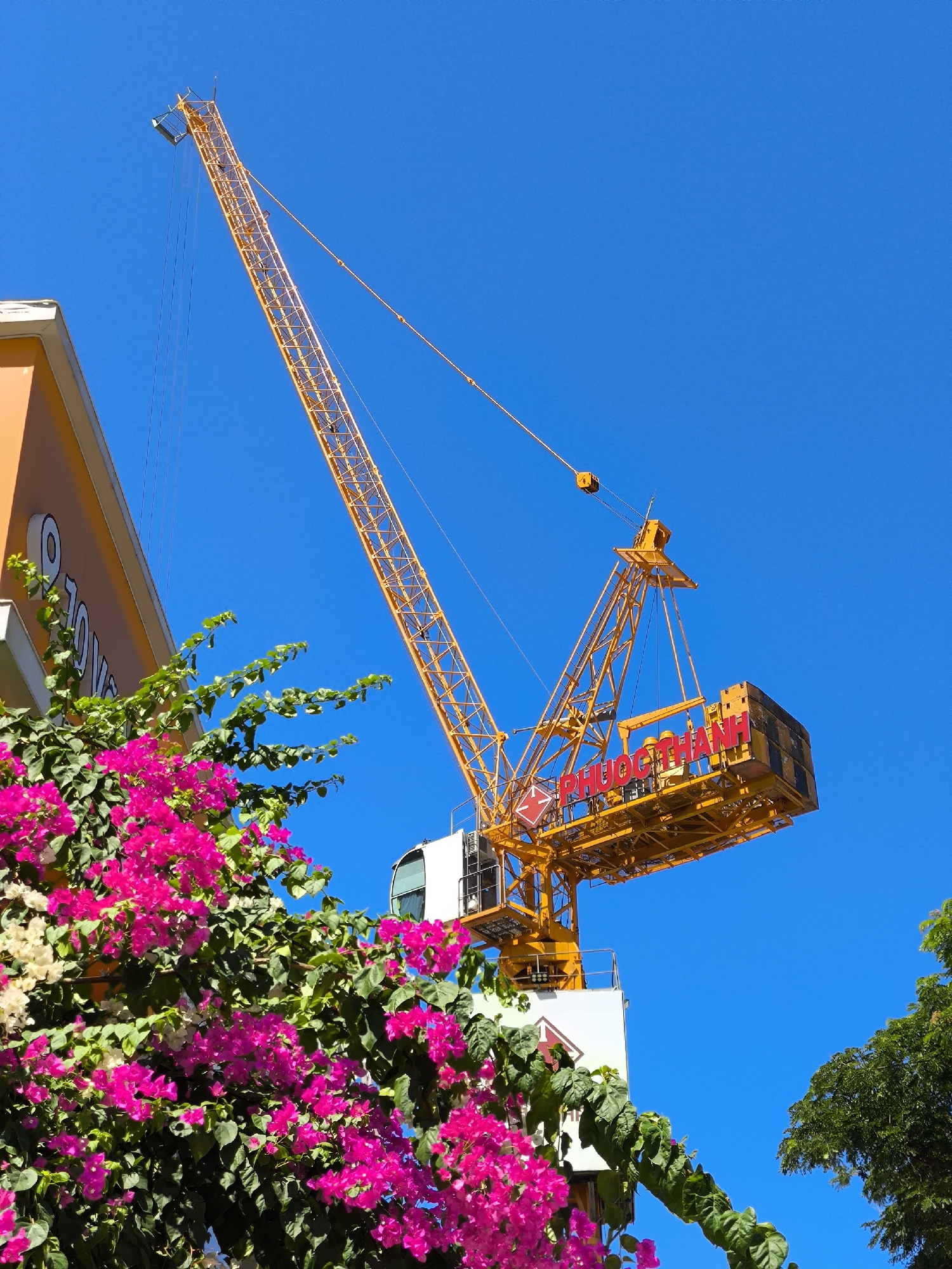 An outdoor, eye-level, medium shot captures a construction crane against a bright blue sky. The crane is a vibrant yellow and dominates the center of the frame, its arm extending diagonally upwards from the left to the upper right. A counterweight is visible at the end of the jib, with red text that reads "PHUOC THANH" in capitalized letters. In the lower left portion of the image, a building with an orange facade is partially visible, with a white architectural detail. Lush greenery, including bright pink bougainvillea flowers and dark green leaves, frames the lower left and center of the scene, creating a stark contrast with the industrial structure. The image appears to be taken in Đà Nẵng, Vietnam, a city known for its rapid development and construction projects.